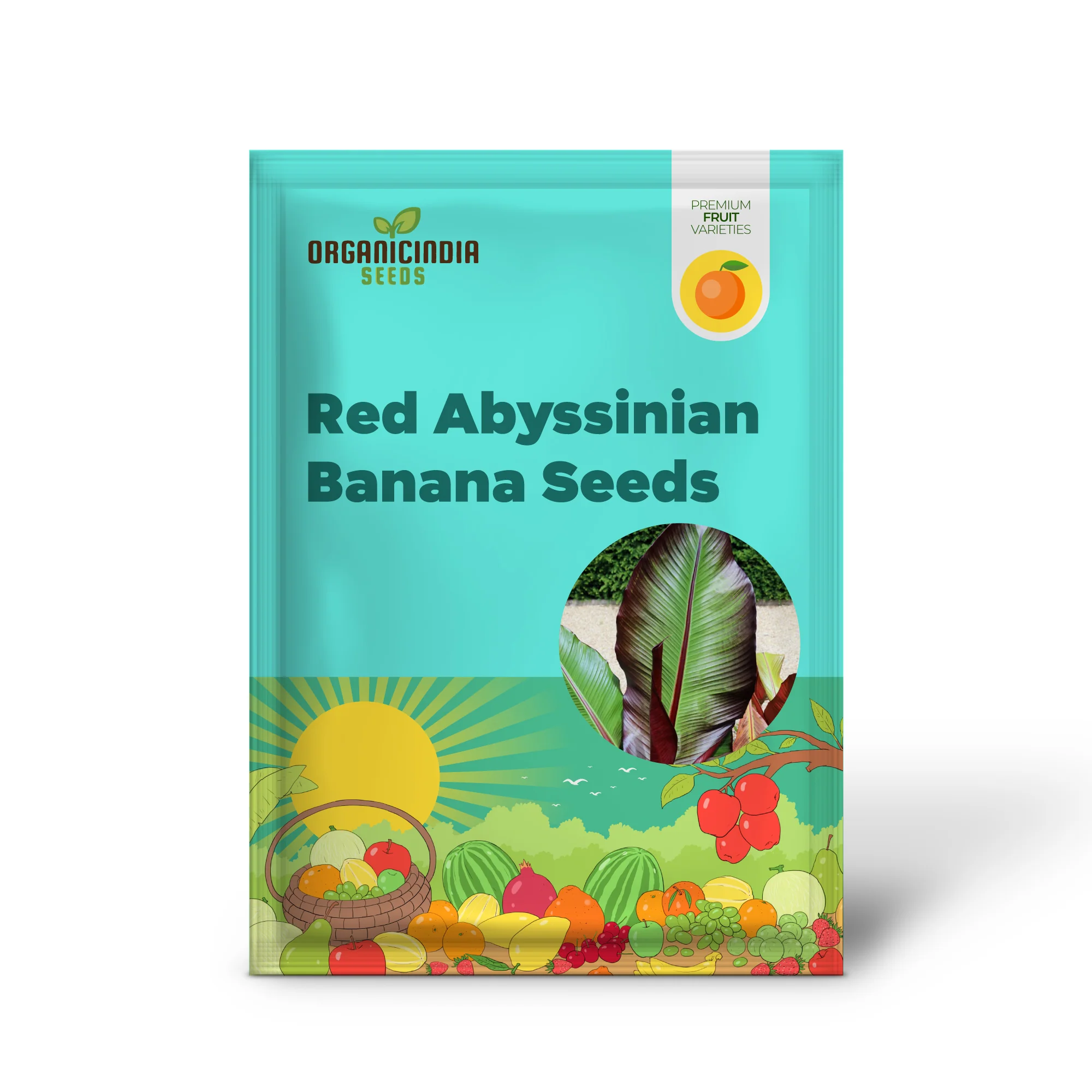 Red Abyssinian Banana Seeds - Image 2