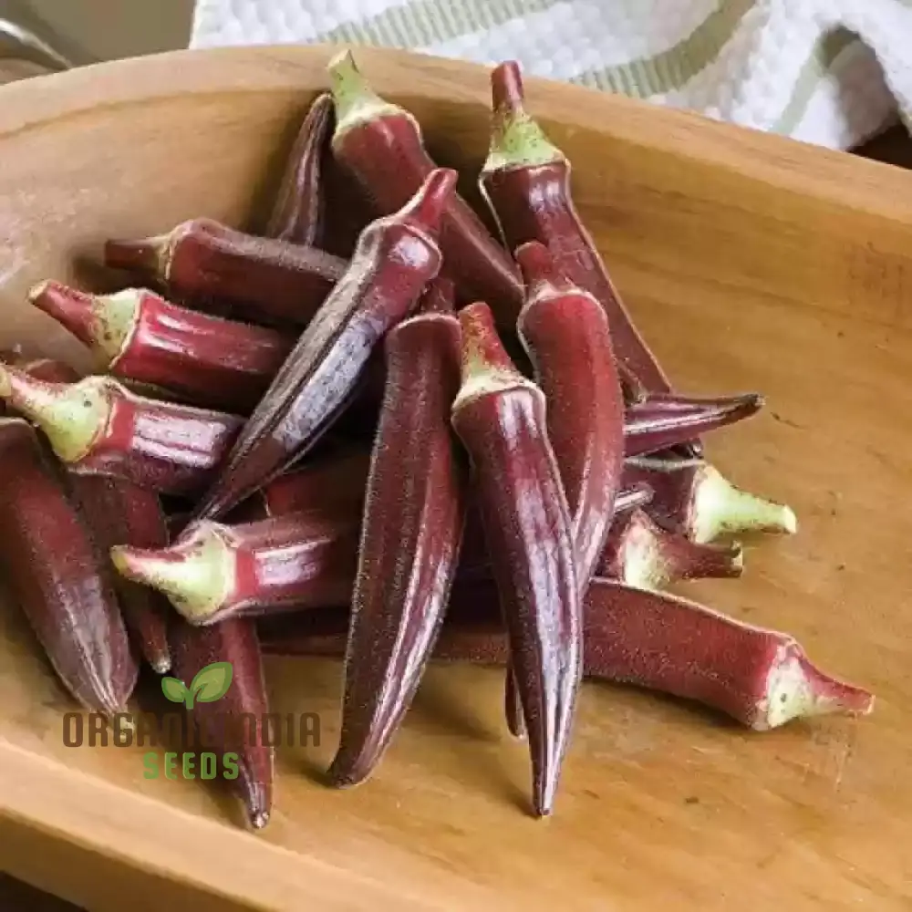 Red Burgundy Okra Seeds for Planting - Image 3