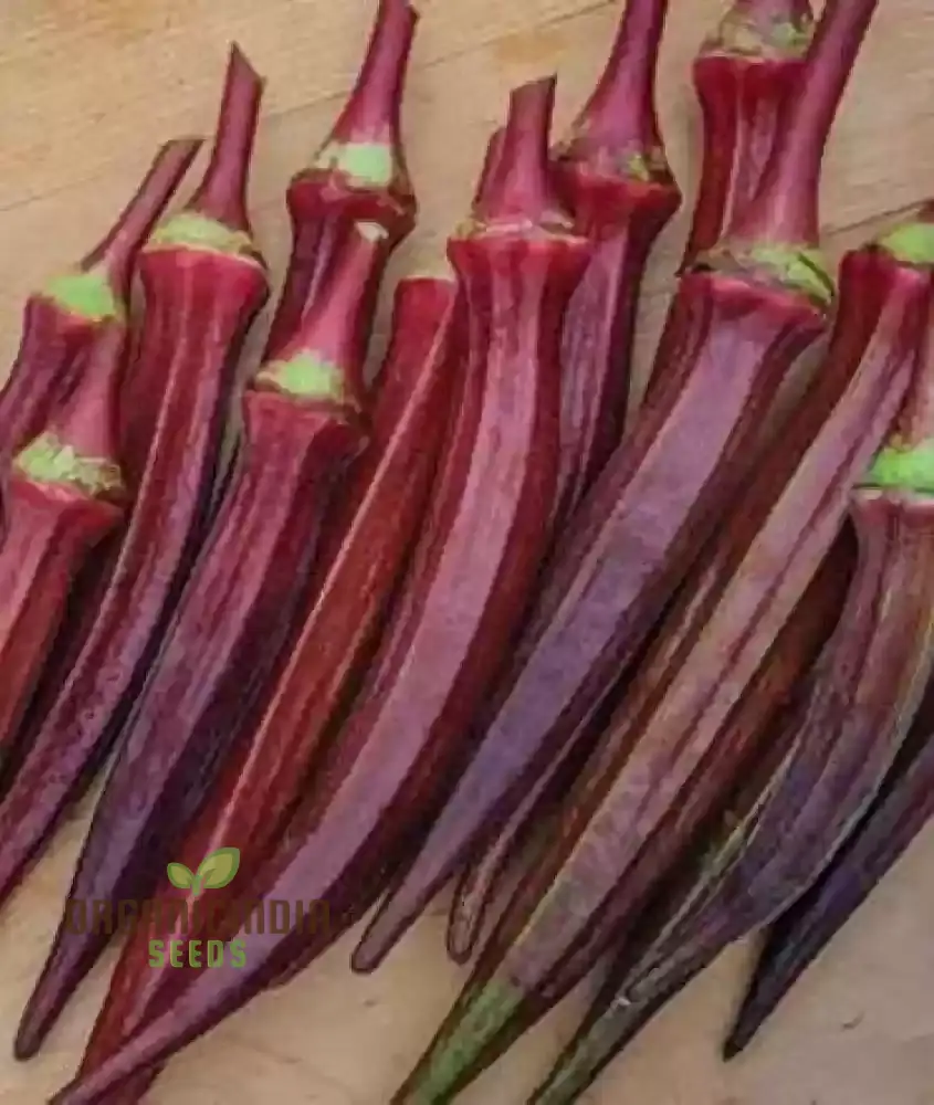 Red Burgundy Okra Seeds for Planting - Image 4