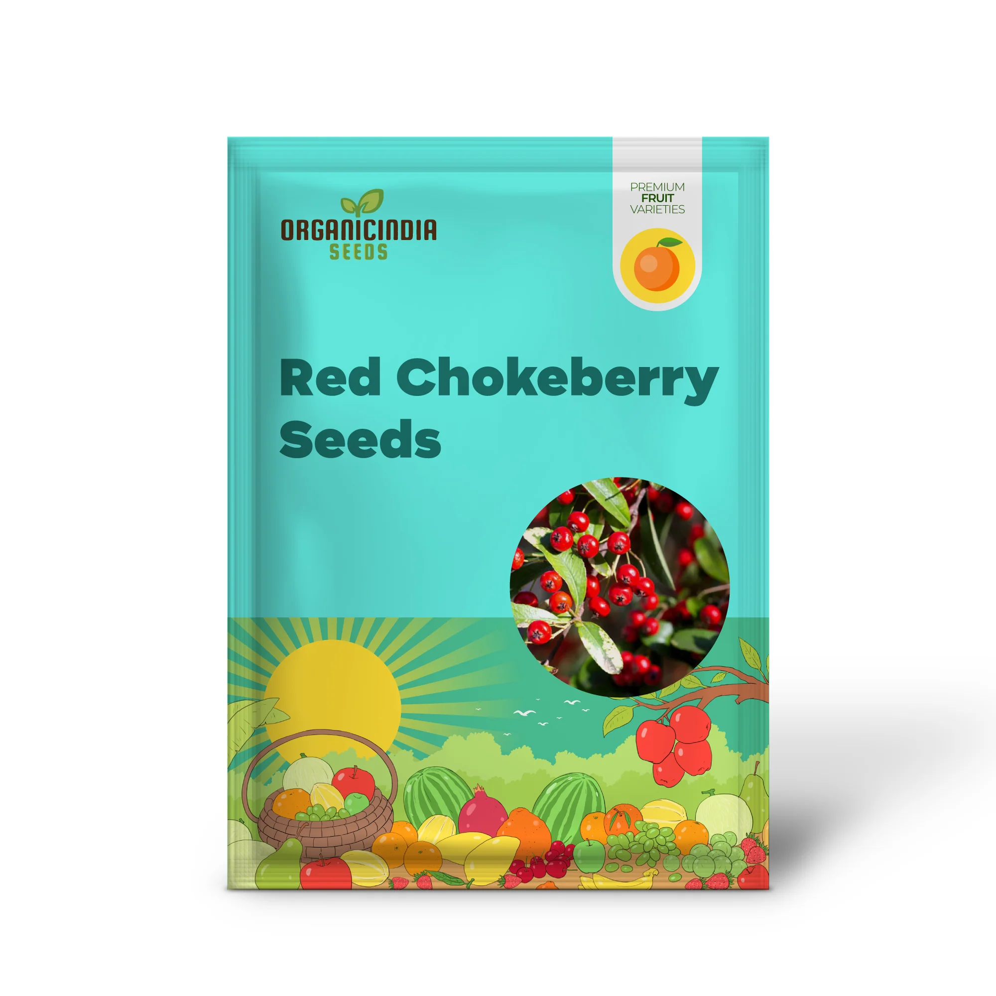 Red Chokeberry (Aronia arbutifolia) – Shrub Seeds with White Flower & Fruit - Image 2