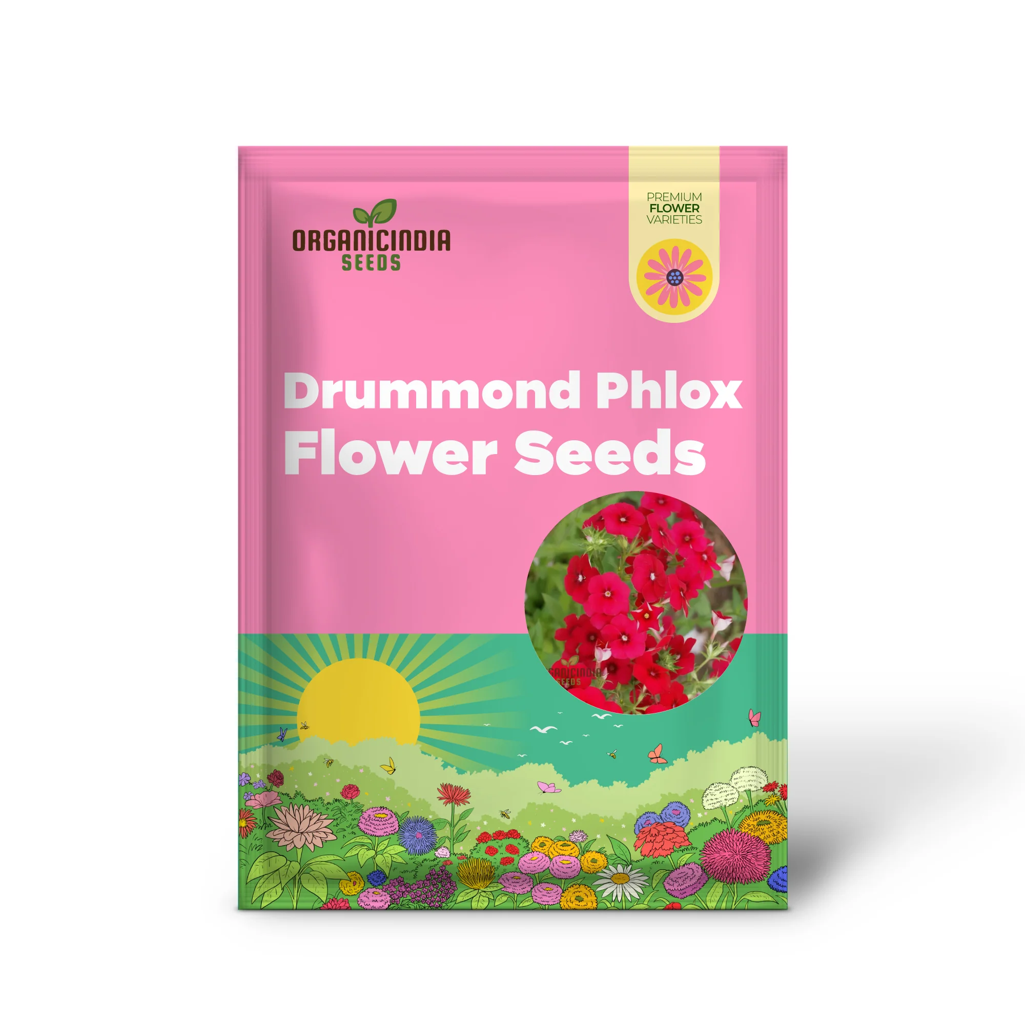 Red Drummond Phlox Flower Seeds - Brilliant Blooms for Vibrant Garden Borders - Image 2