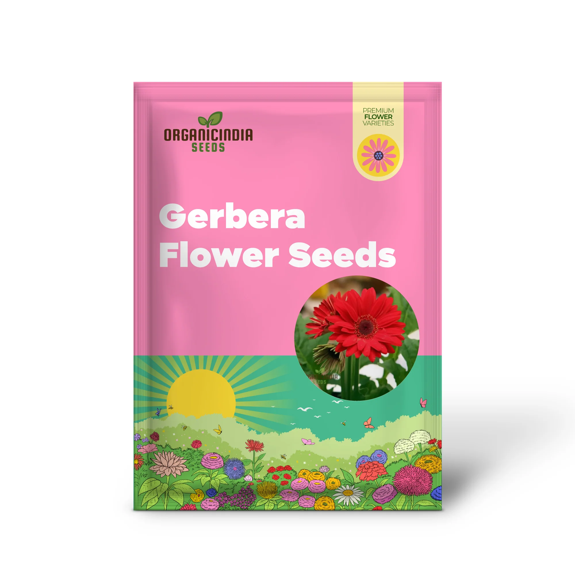 Red Gerbera Flower Seeds - Vibrant Blooms for Stunning Garden Planting and Gardening - Image 2
