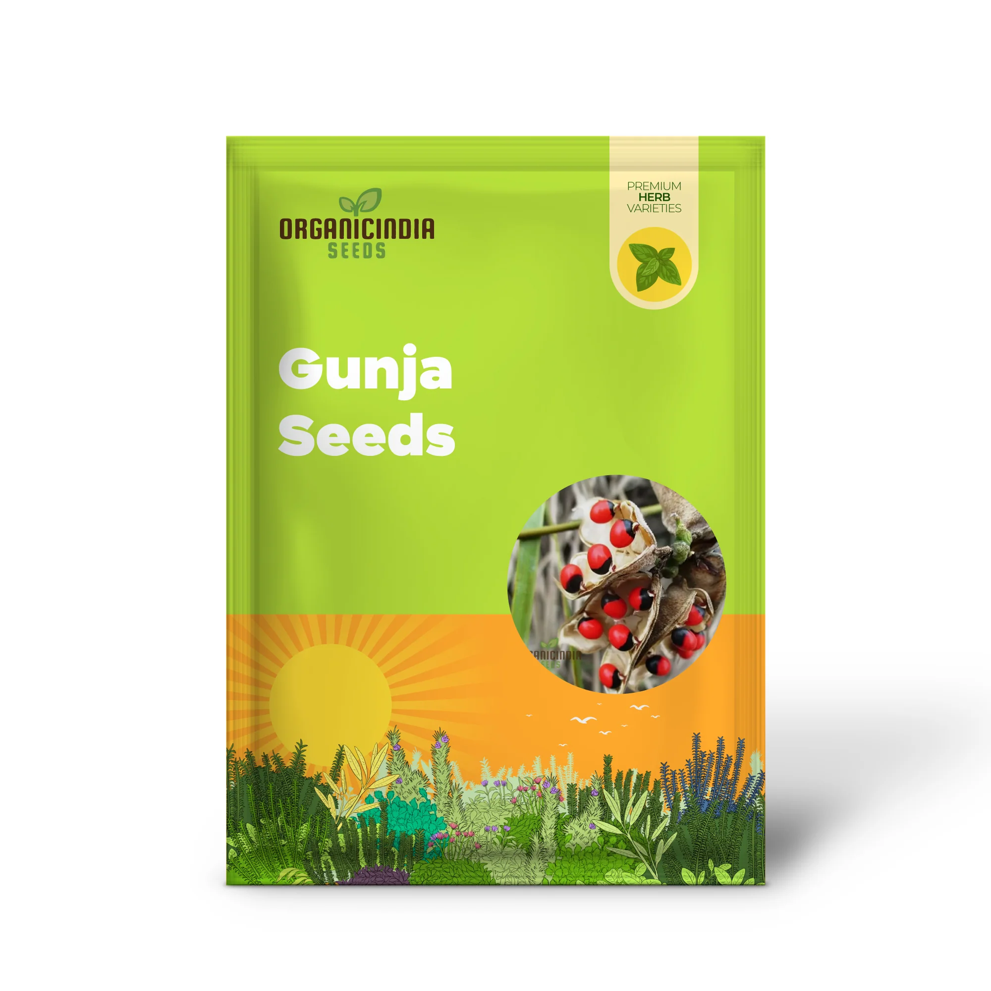 Red Gunja Seeds (Chirmi Gurinvida Beads) Beautiful Red Gunja Planting Seeds - Image 2