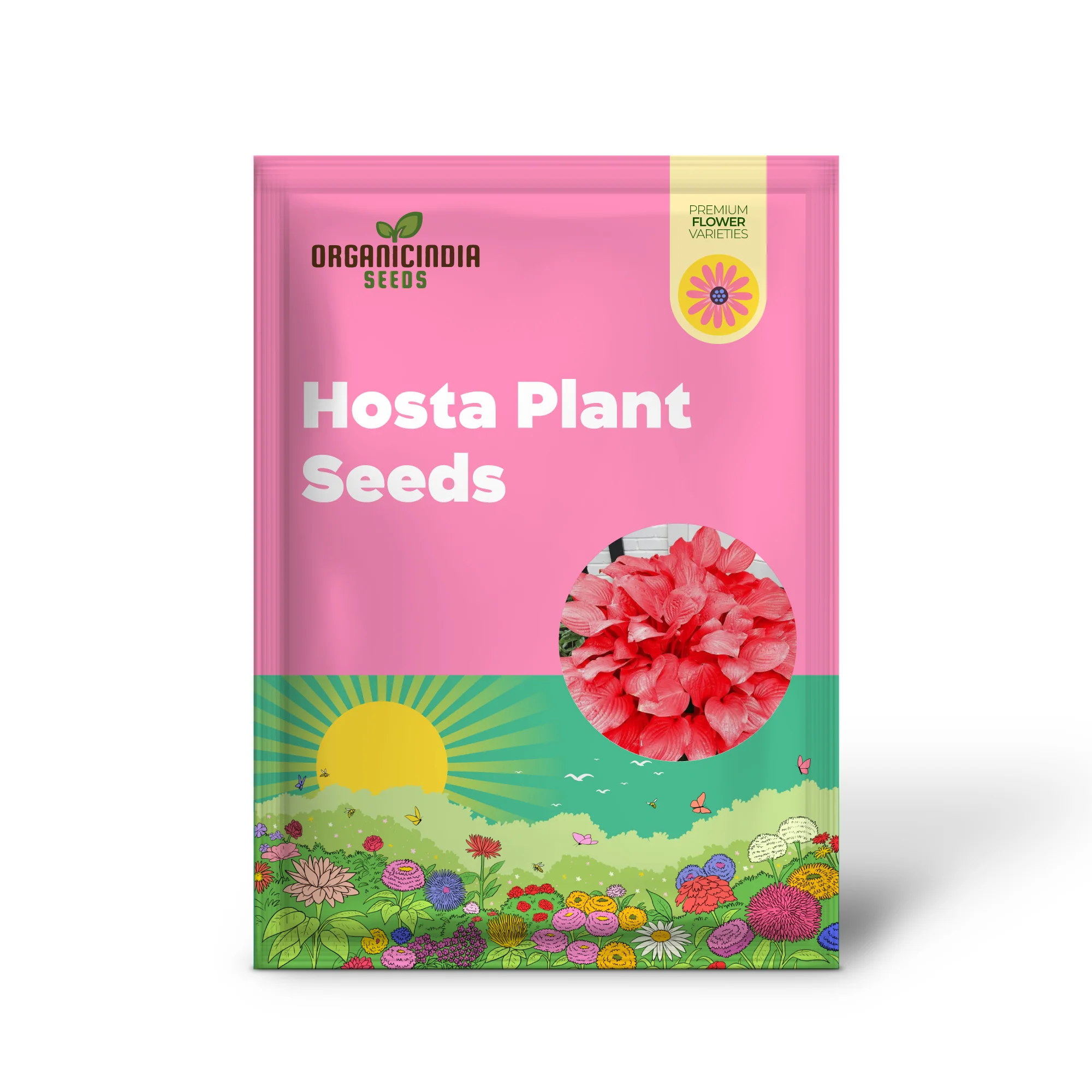 Red Hosta Seeds Ans Perennial Shade Loving Plants for Indoor And Outdoor Gardens, Pollinator Friendly And Low Maintenance - Image 2