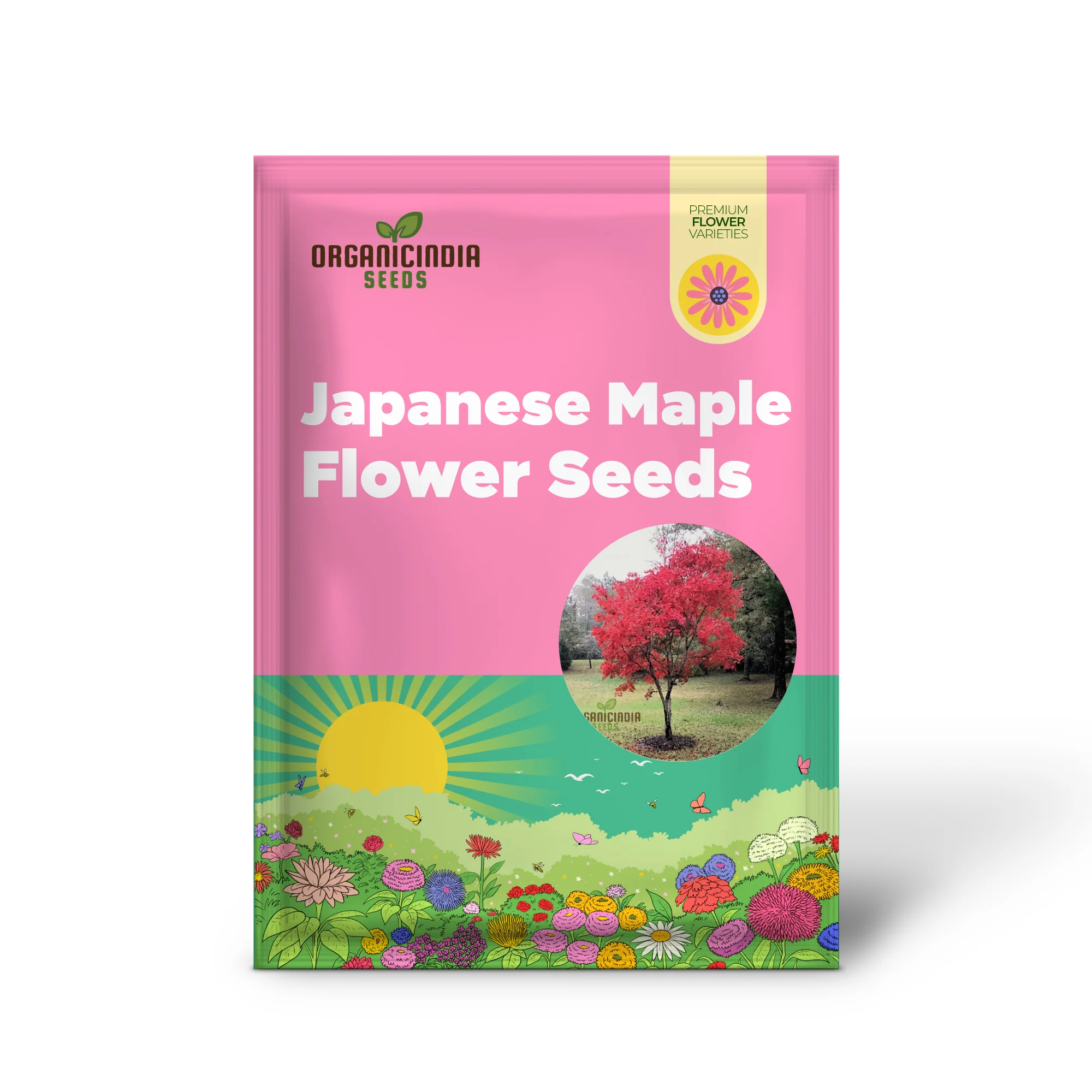 Red Japanese Maple Tree Seeds – Vibrant Foliage Landscaping - Image 2
