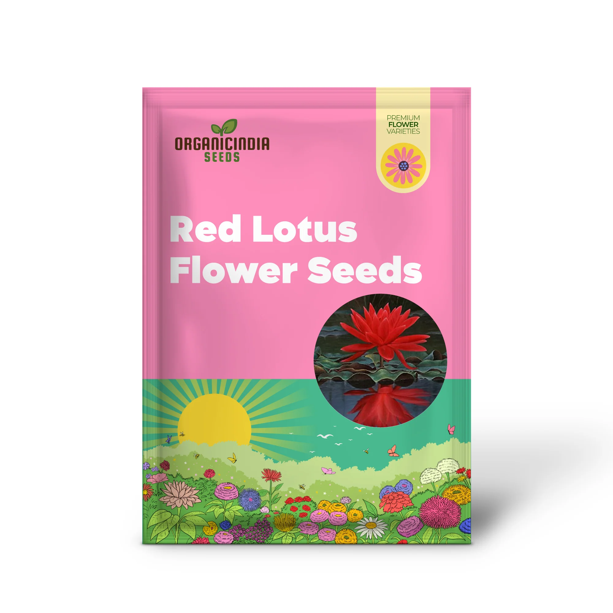 Red Lotus Flower Seeds for Planting - Image 2