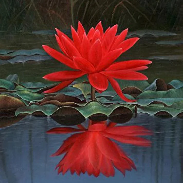Red Lotus Flower Seeds for Planting - Image 5