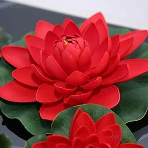 Red Lotus Flower Seeds for Planting - Image 7