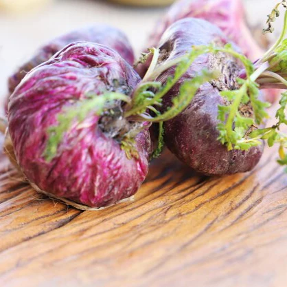 Red MACA Peruvian Ginseng Vegetable Seeds - 50 Pieces - Image 3
