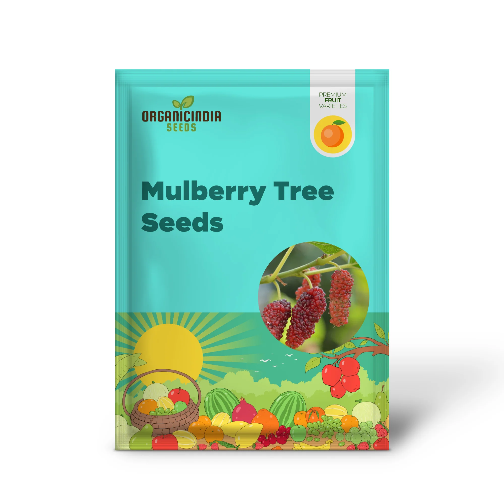 Red Mulberry Tree (Morus rubra) – Seeds - Image 2