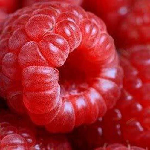 Red Raspberry Fruit Seeds - Image 6