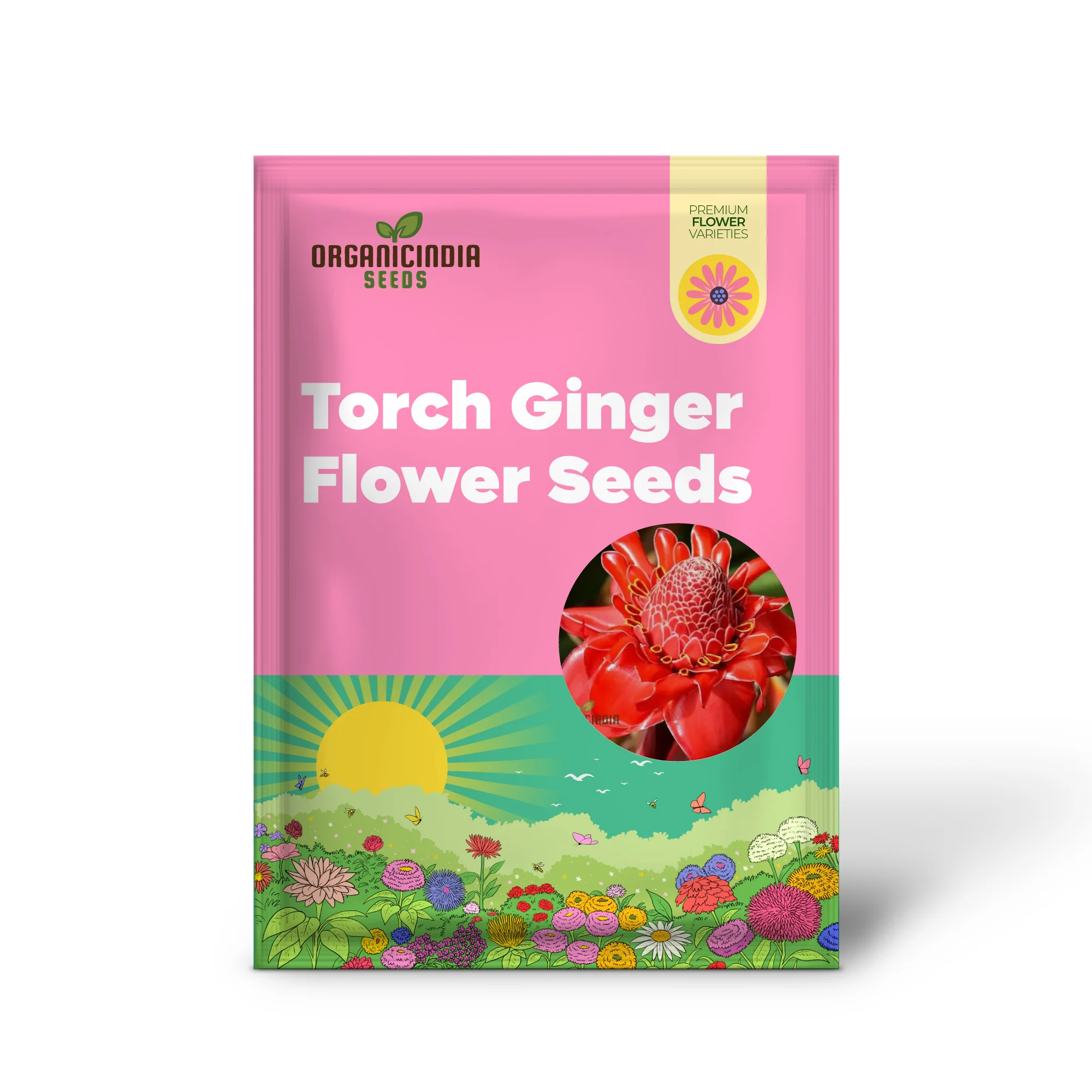 Red Torch Ginger Flower Seeds - 50 Seeds Pack for Sowing in Home Garden | All Season Plant Seeds for Gardening Enthusiasts - Image 2