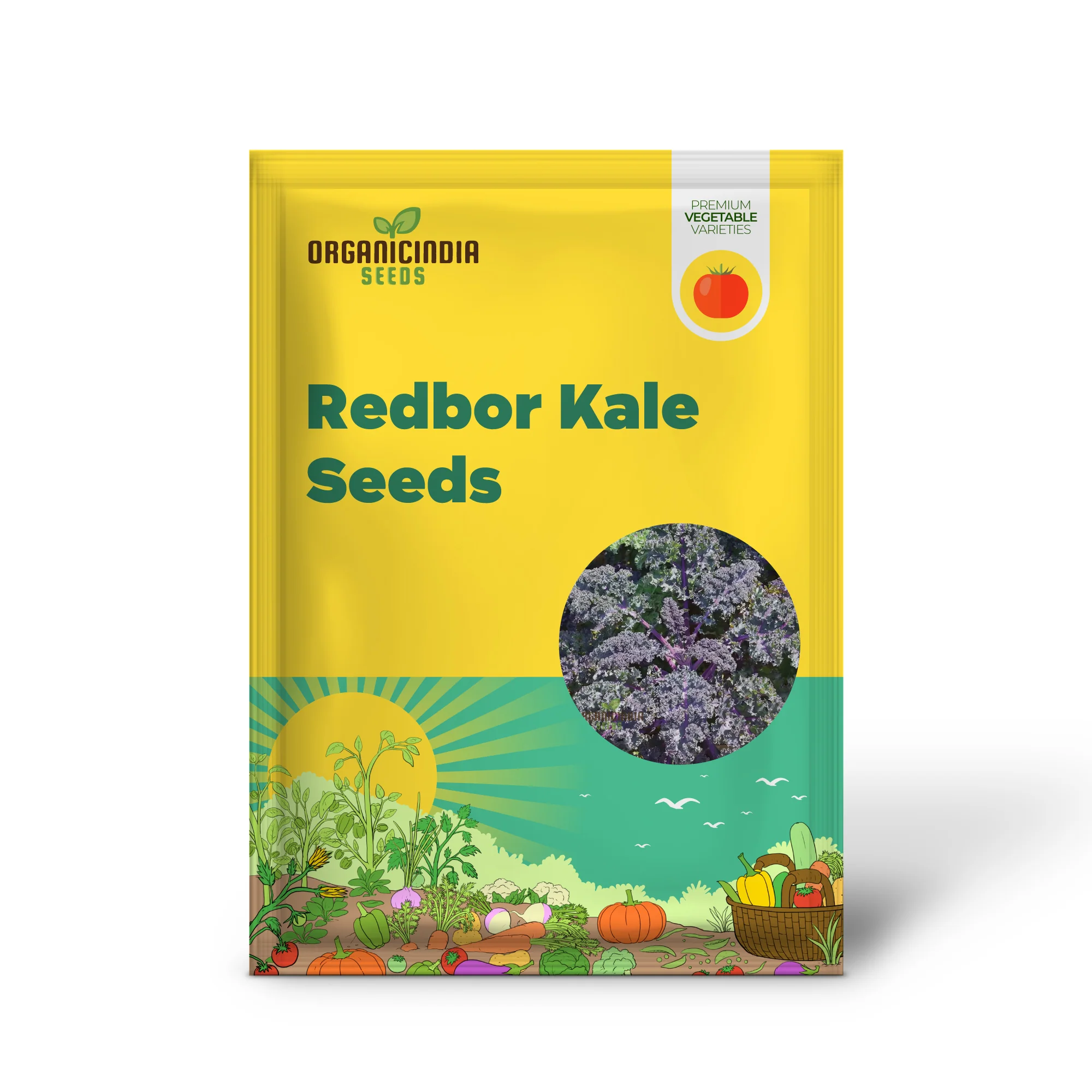 Redbor Kale Seeds - Grow Nutritious and Vibrant Red Kale in Your Garden - Image 2
