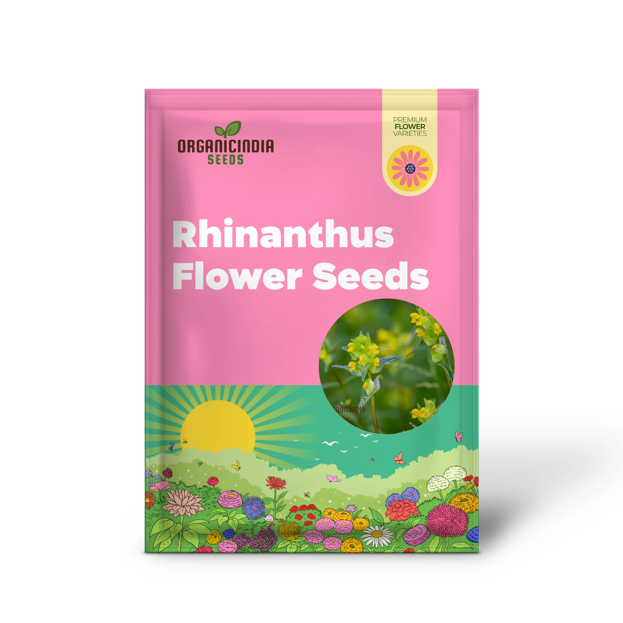 Rhinanthus Minor Flower Seeds For Planting, Adding Charming Wildflower Beauty to Your Garden - Image 2