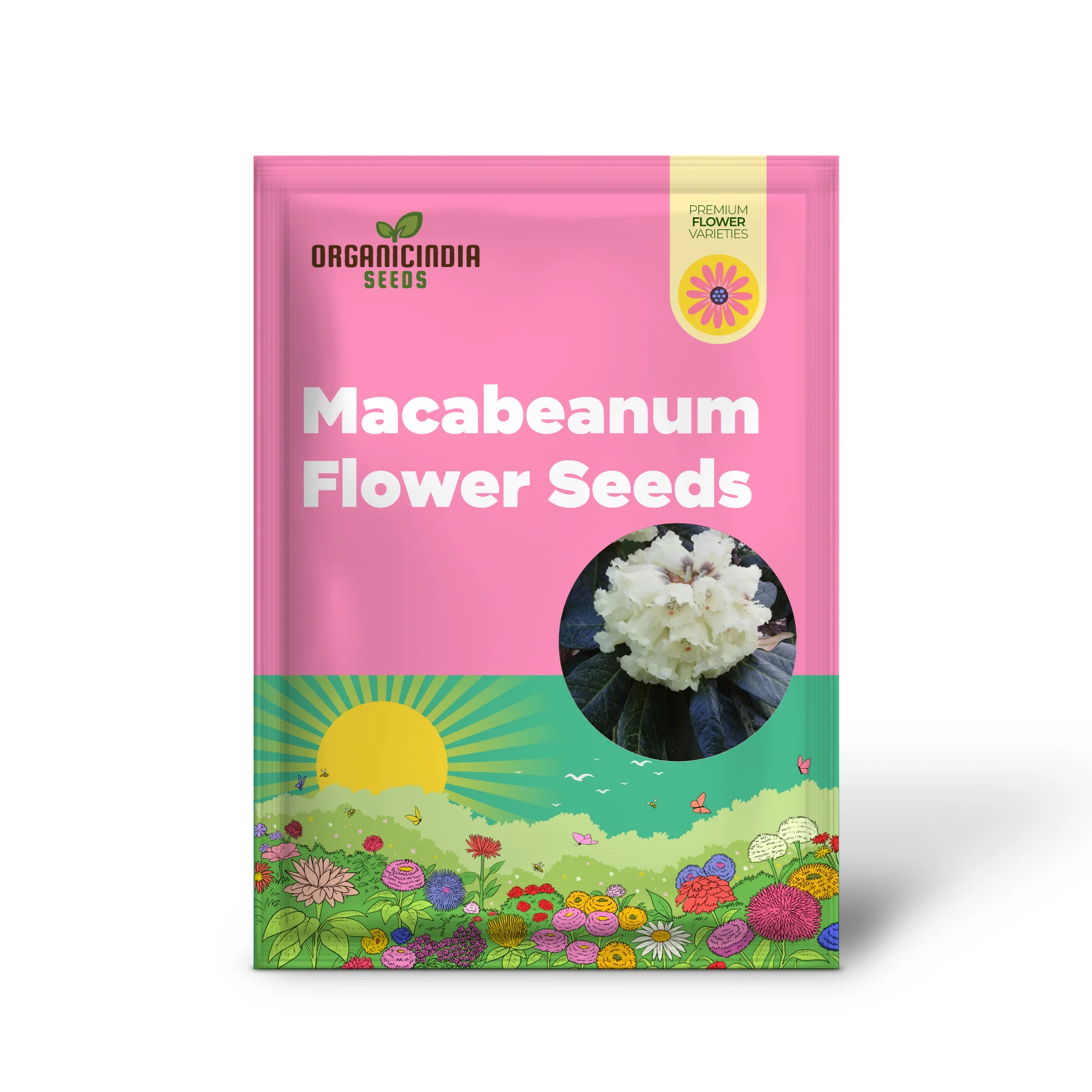 Rhododendron Seeds (Rhododendron macabeanum Seeds) - Majestic Hardy Blooms for Gardens - Image 3