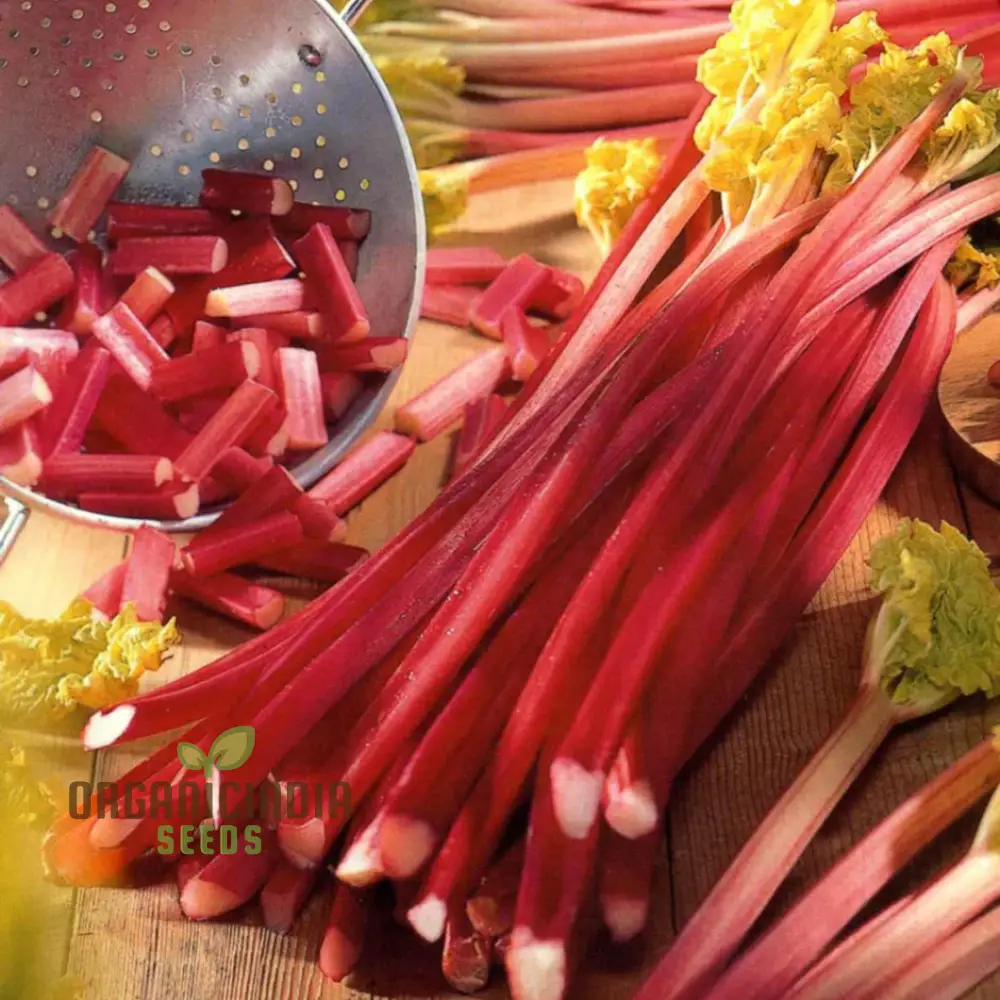 RHUBARB VICTORIA Seeds for Planting Your Garden | Buy Seeds Online - Image 4