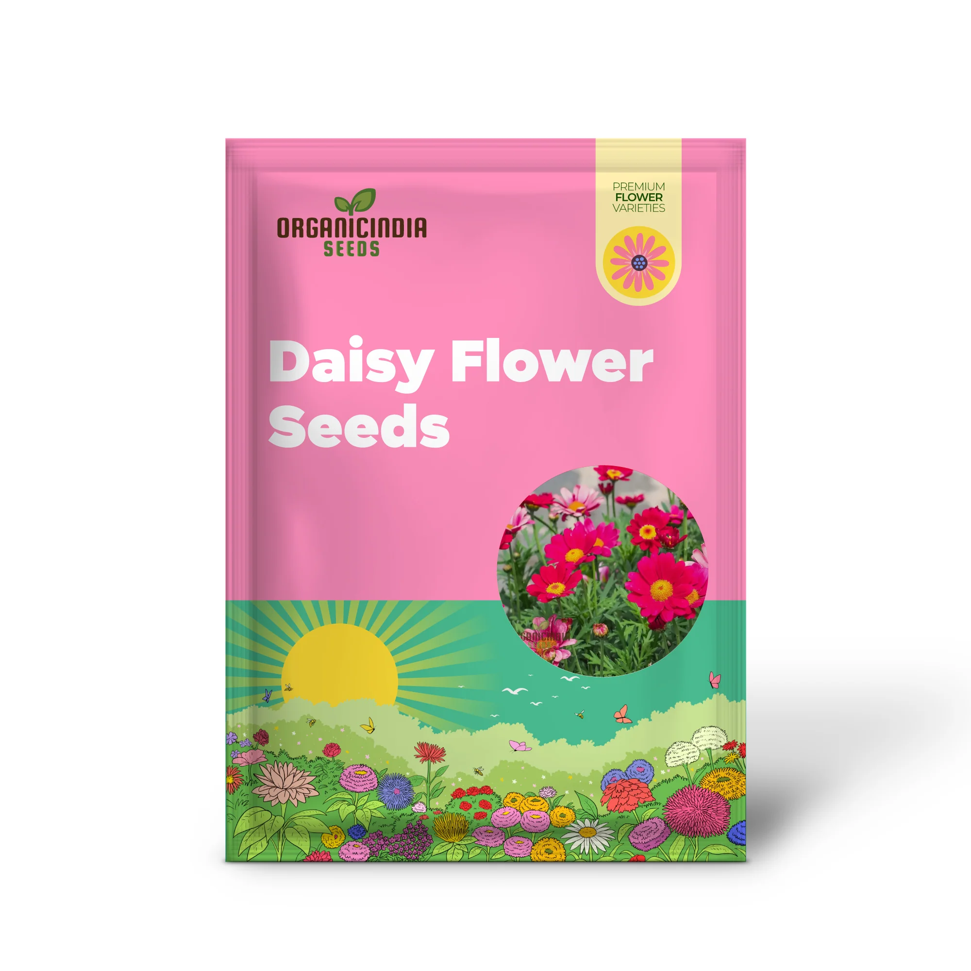 Robinson’s Giant Painted Daisy Seeds – Giant Spring Blooms - Image 2