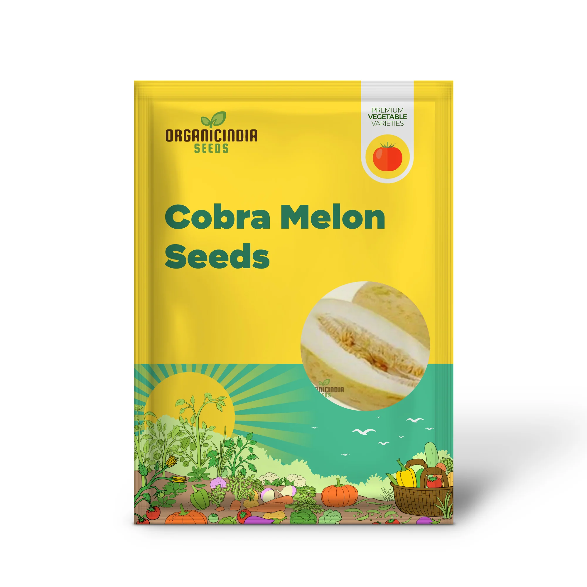 Rockmelon - Indian Cream Cobra Melon Seeds for Planting and Gardening - Image 2