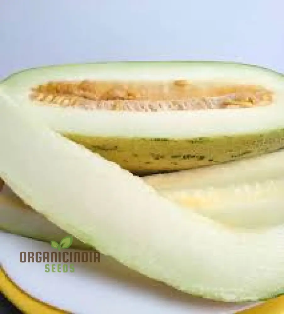 Rockmelon - Indian Cream Cobra Melon Seeds for Planting and Gardening - Image 3