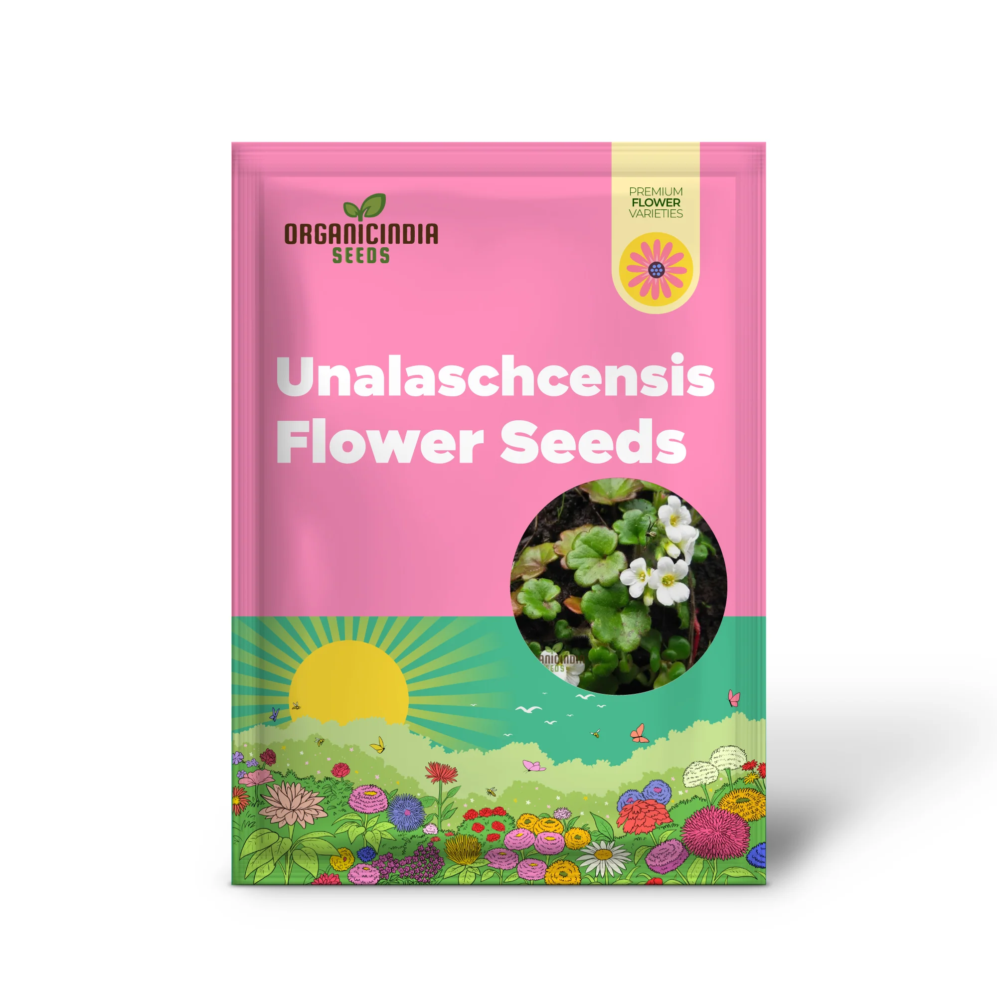 Romanoffia Unalaschcensis Flower Seeds For Planting, Cultivating Rare and Delicate Alpine Blooms - Image 2