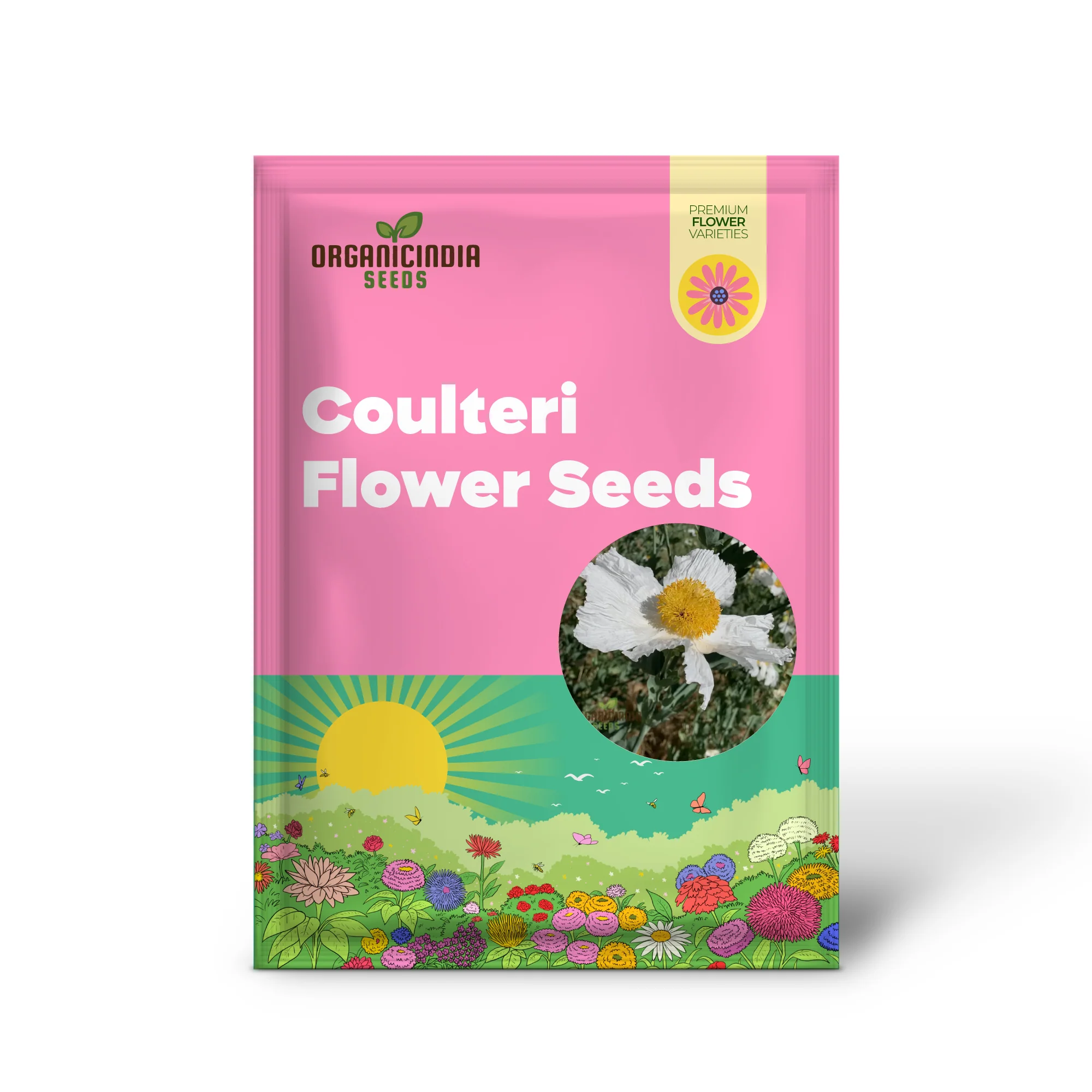Romneya Coulteri Flower Seeds For Planting, Growing Stunning White Poppies for Your Garden - Image 2