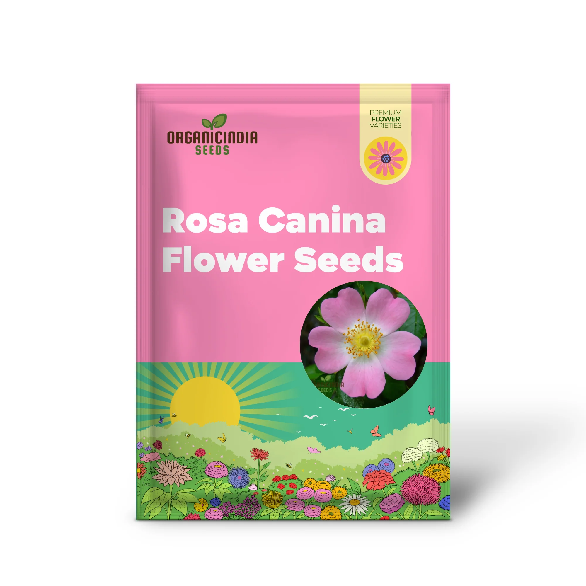 Rosa Canina Flower Seeds For Planting, Hardy Dog Rose Seeds for Beautiful and Resilient Wild Rose Flowers in Your Garden - Image 2