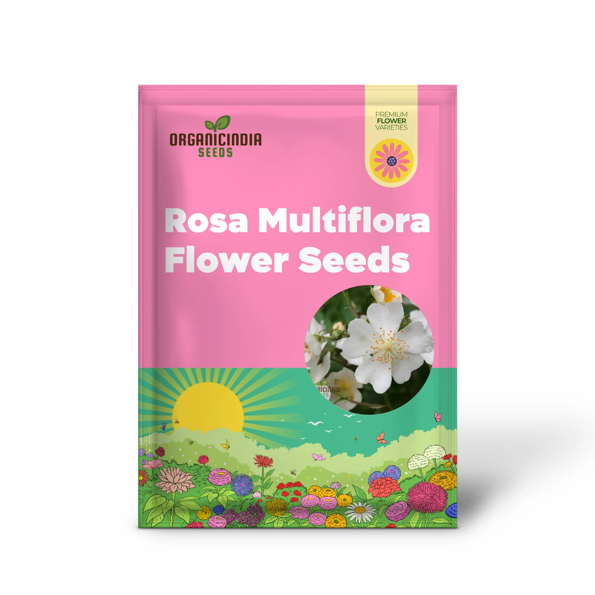 Rosa Multiflora Flower Seeds For Planting, Learn How to Plant and Grow Beautiful Clusters of White Roses - Image 2