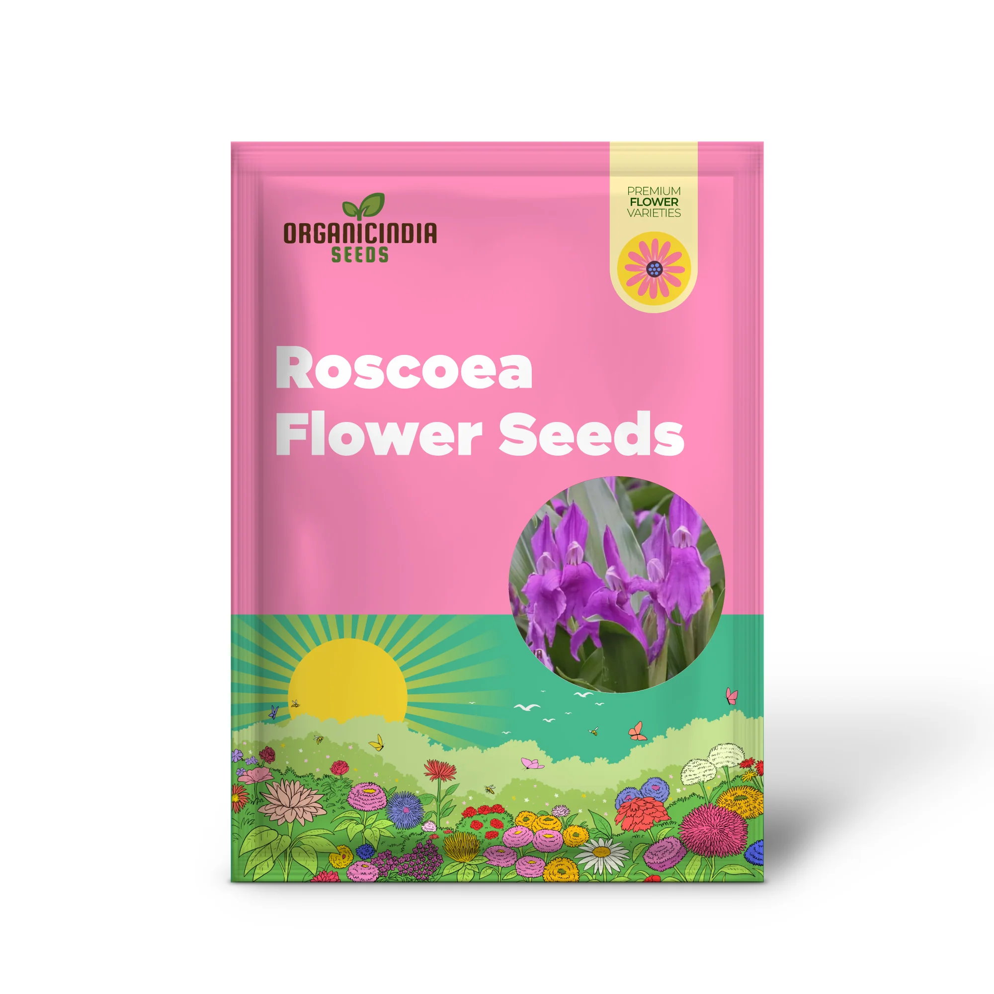 Roscoea Purpurea var. Procera Flower Seeds For Planting - Image 2