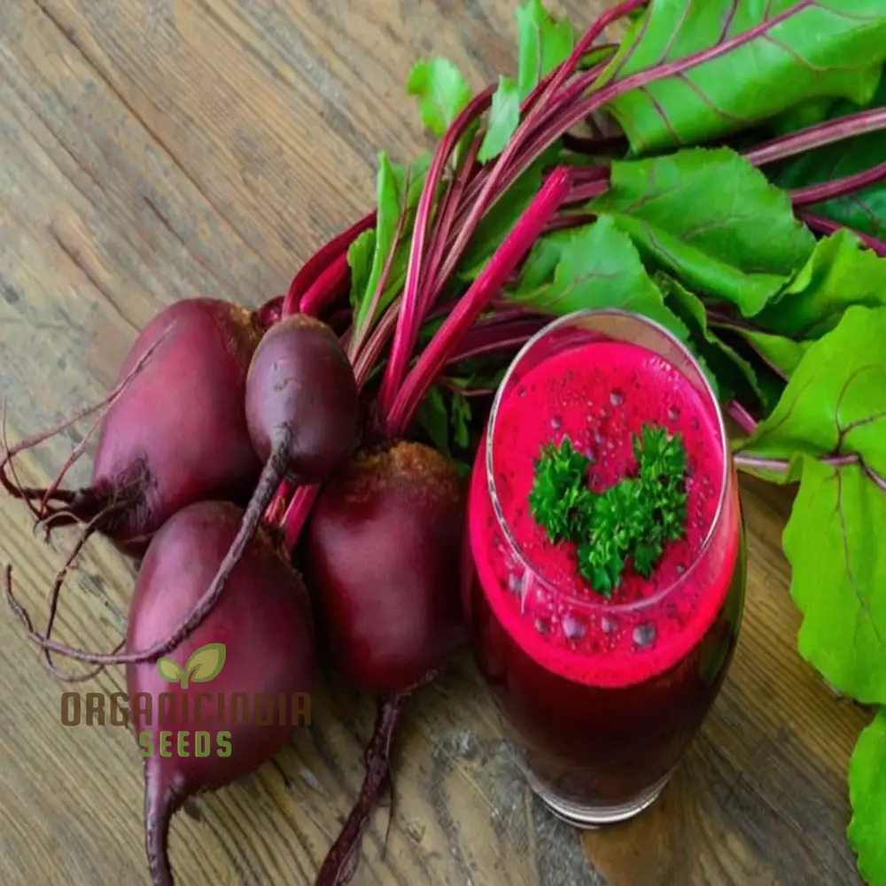 Ruby Queen Beetroot Seeds for a Bountiful Harvest, Expert Gardening Guide: Planting and Growing - Image 5
