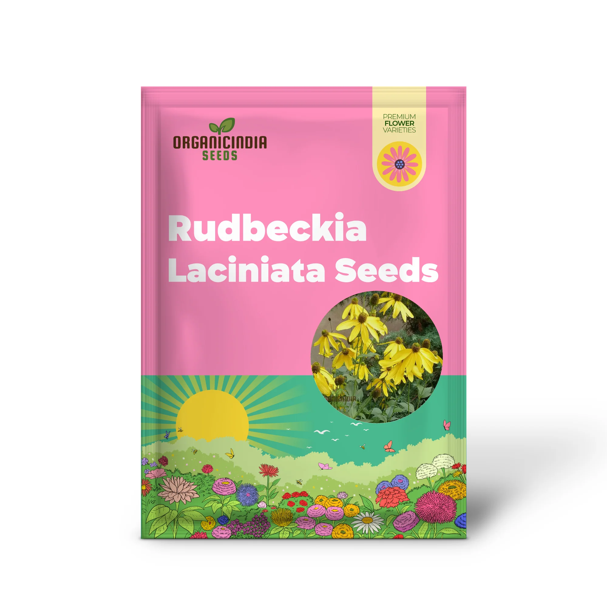 Rudbeckia Laciniata Seeds for Planting, Premium Quality Seeds for Vibrant Gardens - Image 2