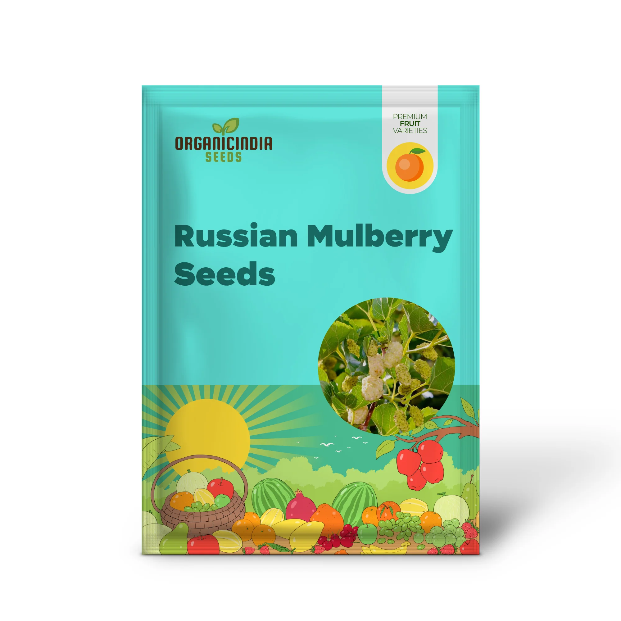 Russian Mulberry (Morus alba) – Seeds - Image 2