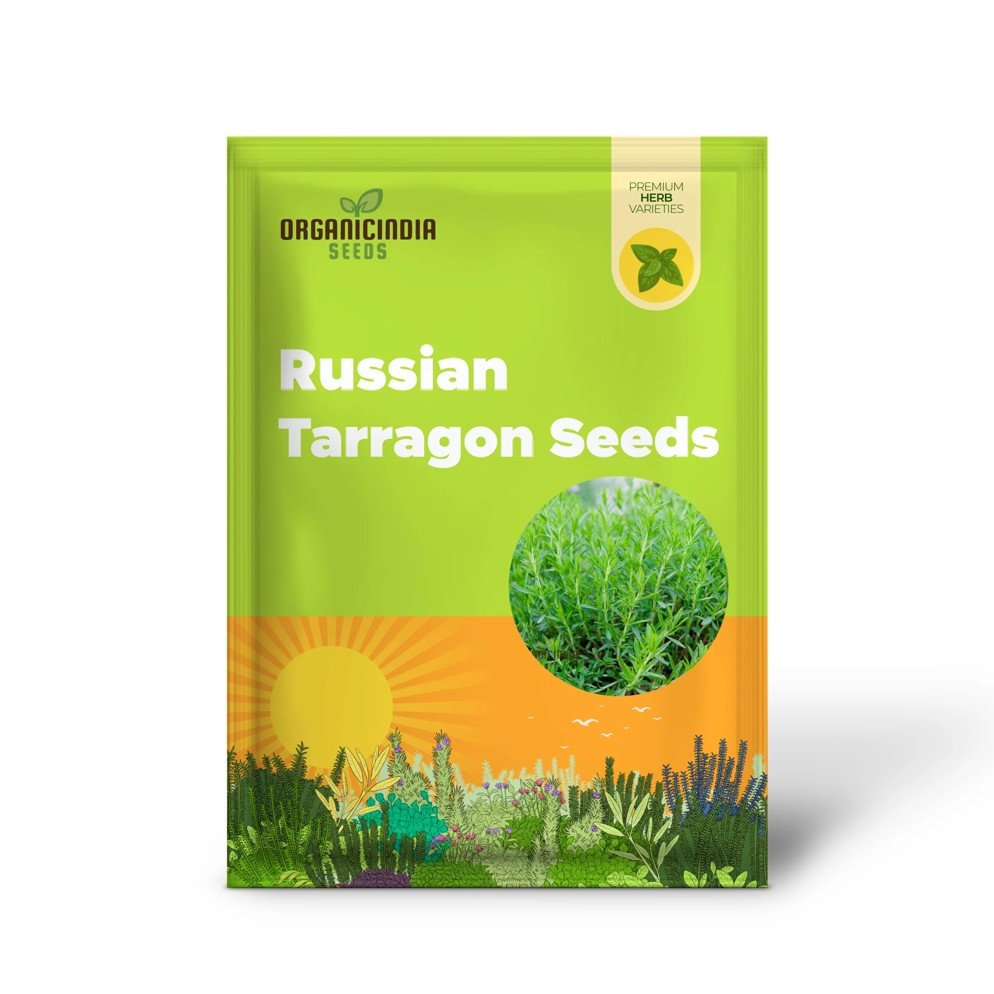 Russian Tarragon Seeds for Planting, Top-Quality Russian Tarragon Seeds, premium Perfect for Home Gardens, Kitchen Gardens - Image 2