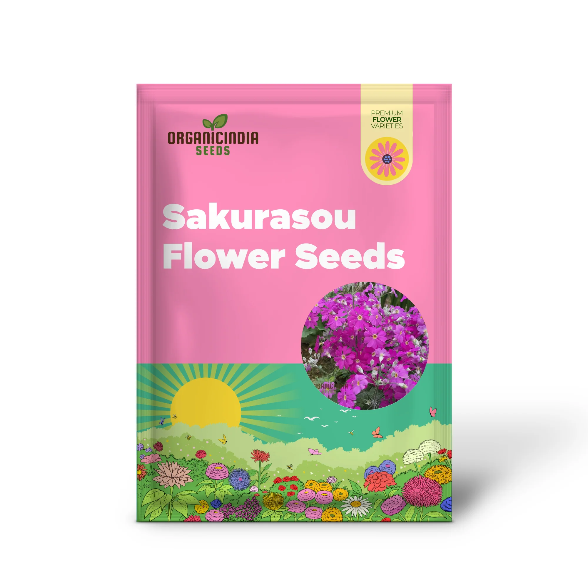 Sakurasou (Primula Sieboldii) Japanese Flower Seeds, Premium Quality Seeds for Gardening - Image 2