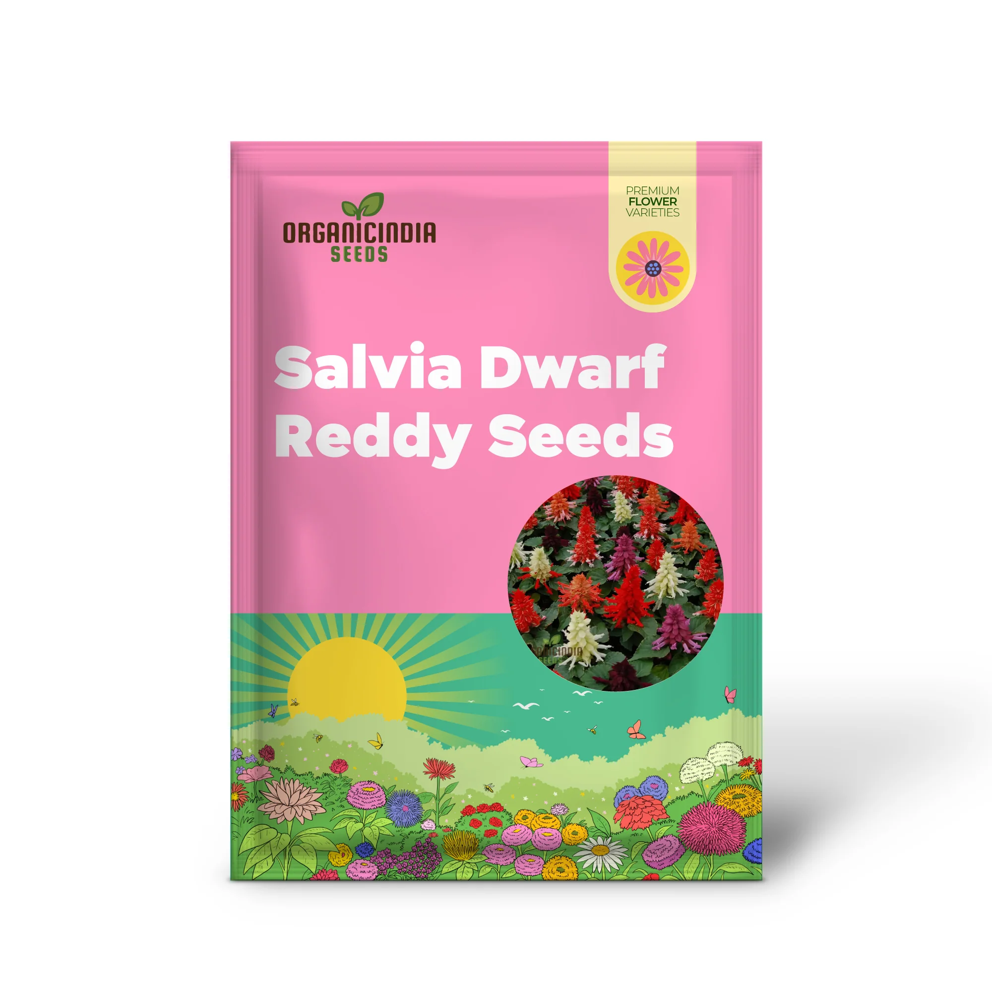 Salvia Dwarf Reddy Formula Mixed Seeds – Compact Hybrid Variety for Vibrant Garden Blooms - Image 2