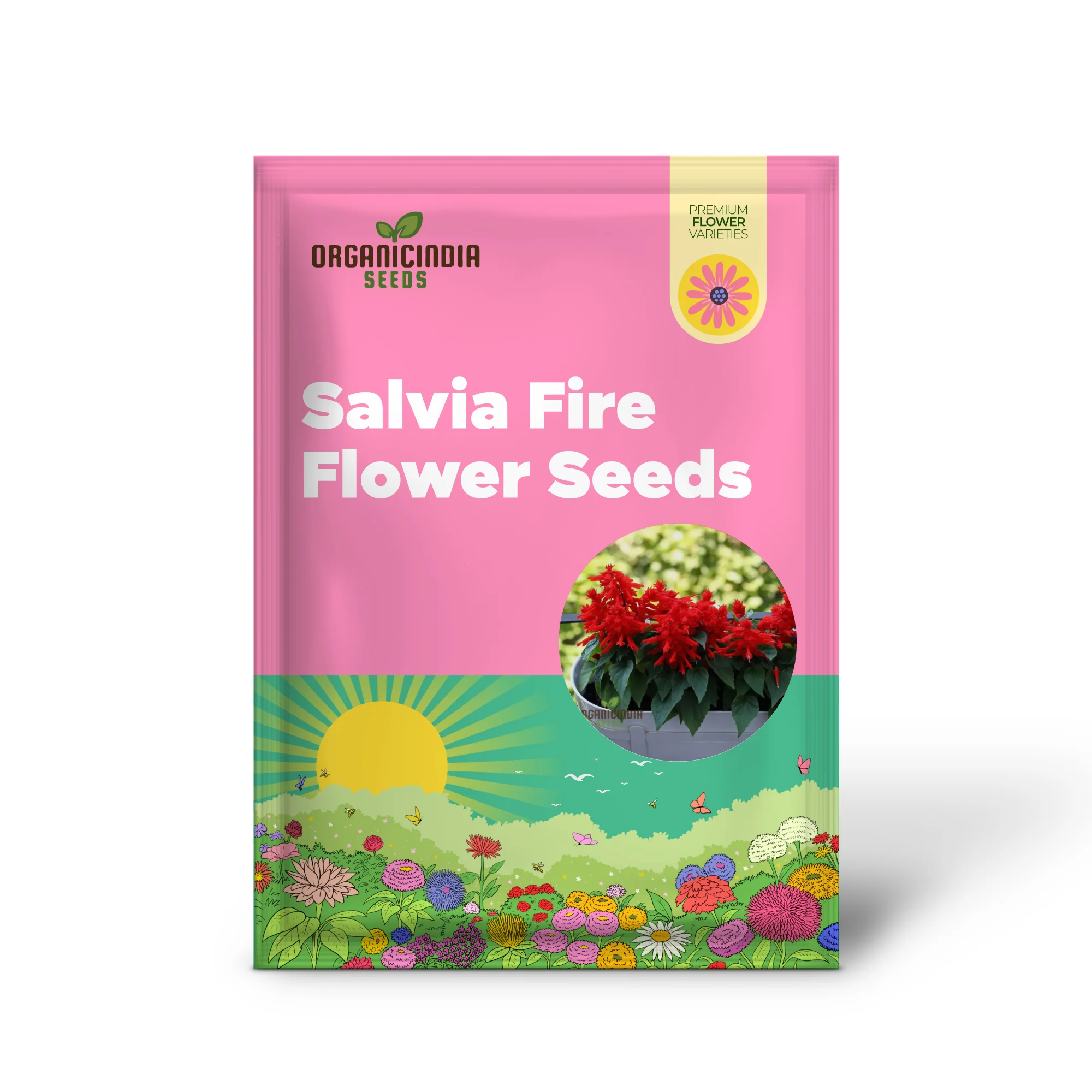 Salvia Red Fire Flower Seeds, Expert Planting and Gardening Guide for Striking, Fiery Blooms - Image 2