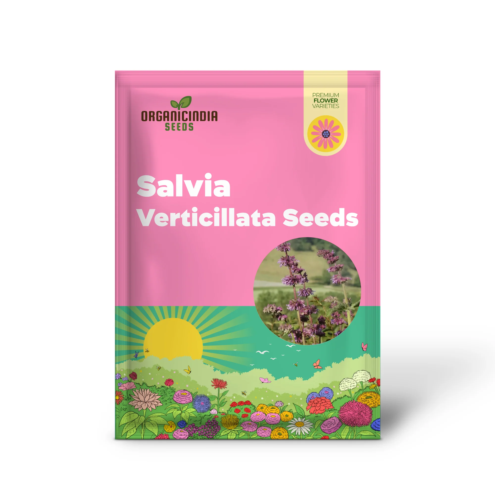 Salvia Verticillata Seeds - Premium Garden Perennial Flower Seeds for Vibrant Blooms | Buy Gardening Seeds Online - Image 2