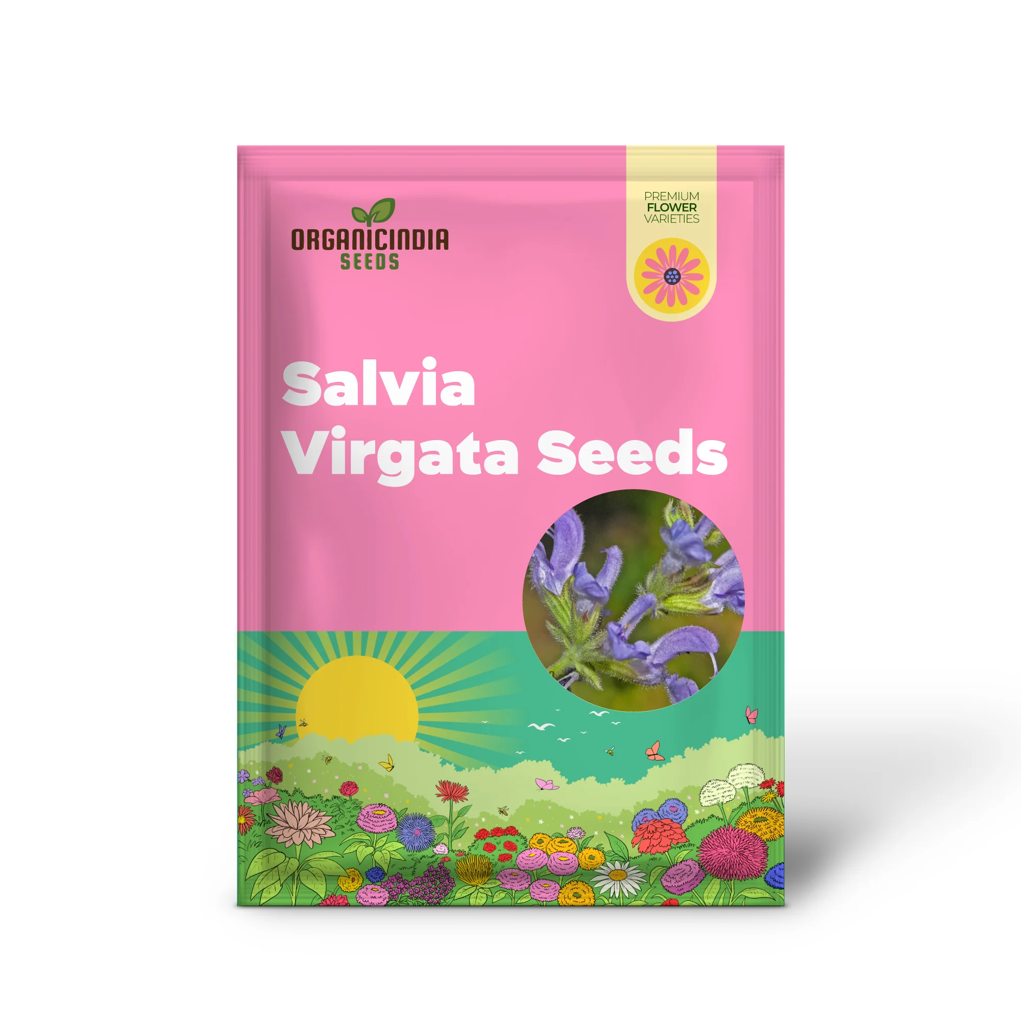 Salvia Virgata Seeds - Premium Gardening Perennials for Beautiful Landscapes and Gardens - Image 2