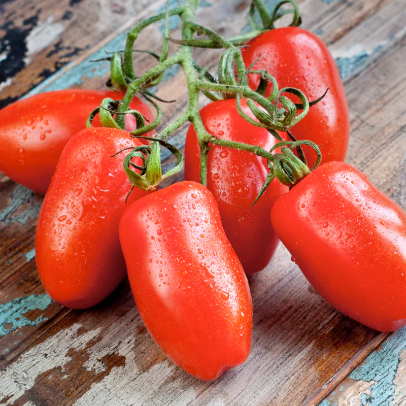 San Marzano Tomato Seeds – Heirloom, Premium Quality for Rich & Flavorful Harvest - Image 2