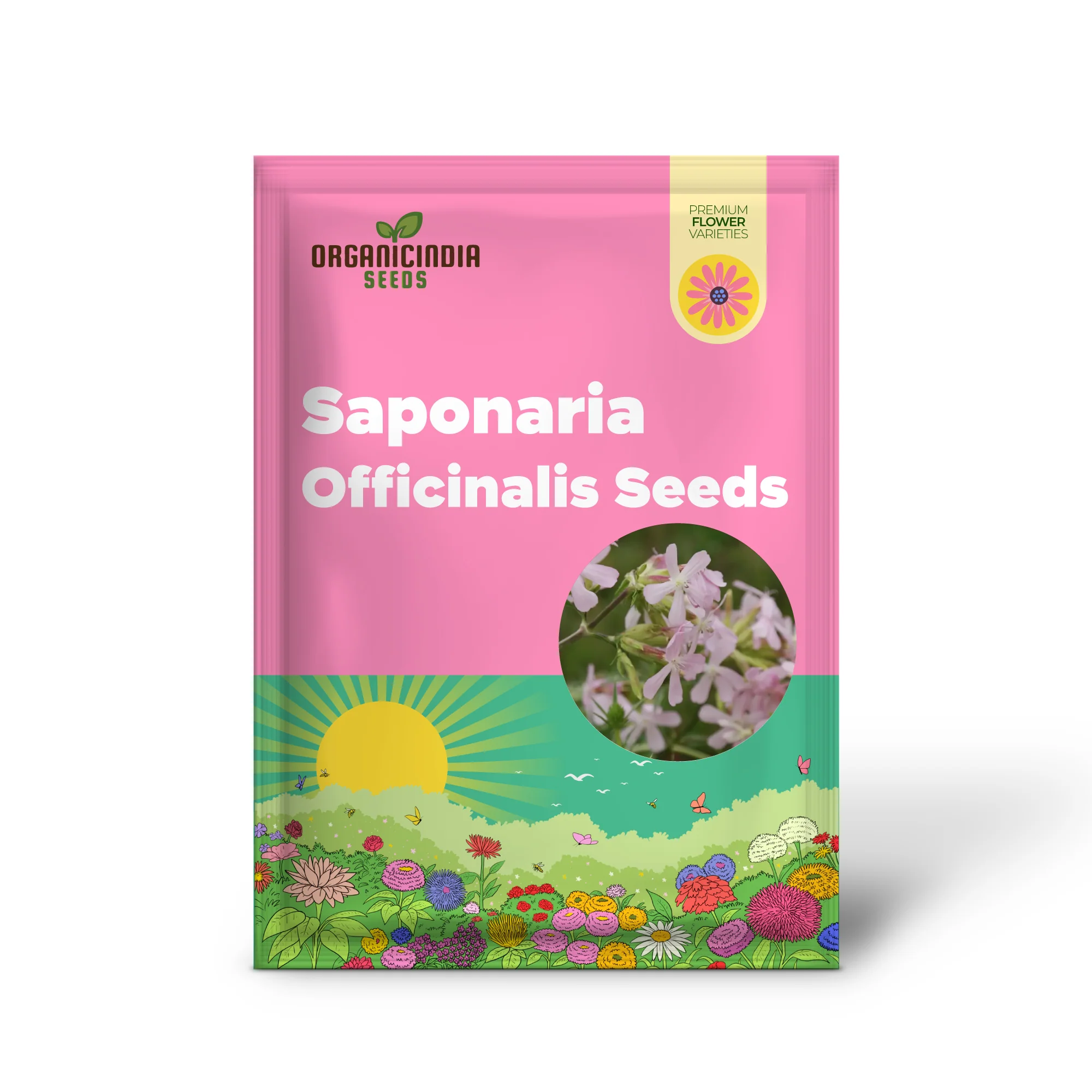 Saponaria Officinalis Seeds for Gardening | Premium Quality Flower Seeds for Beautiful and Lush Gardens - Image 2