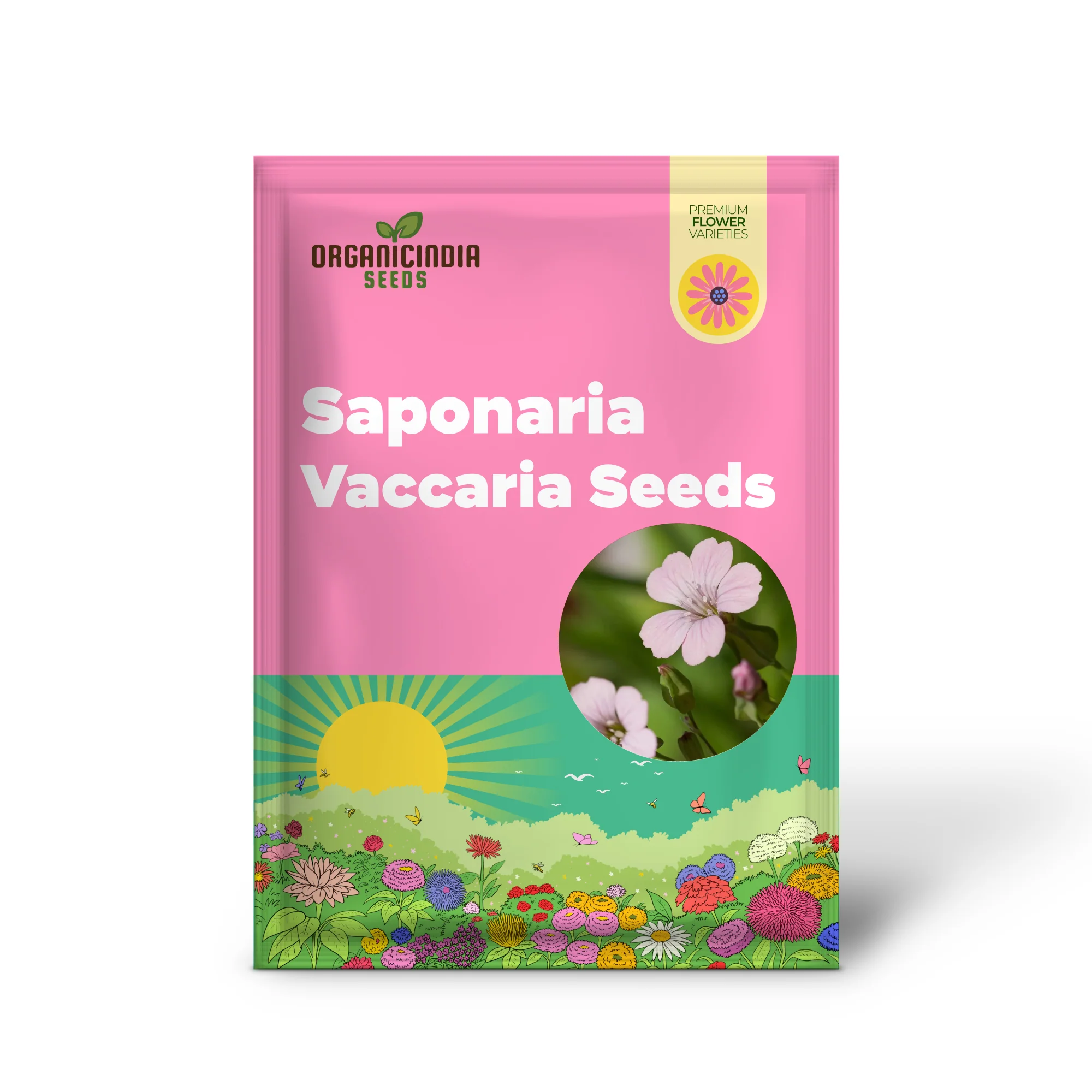 Saponaria Vaccaria 'Pink Beauty' Seeds - Gardening Delight for Your Home Garden, Premium Quality Organic Seeds - Image 2
