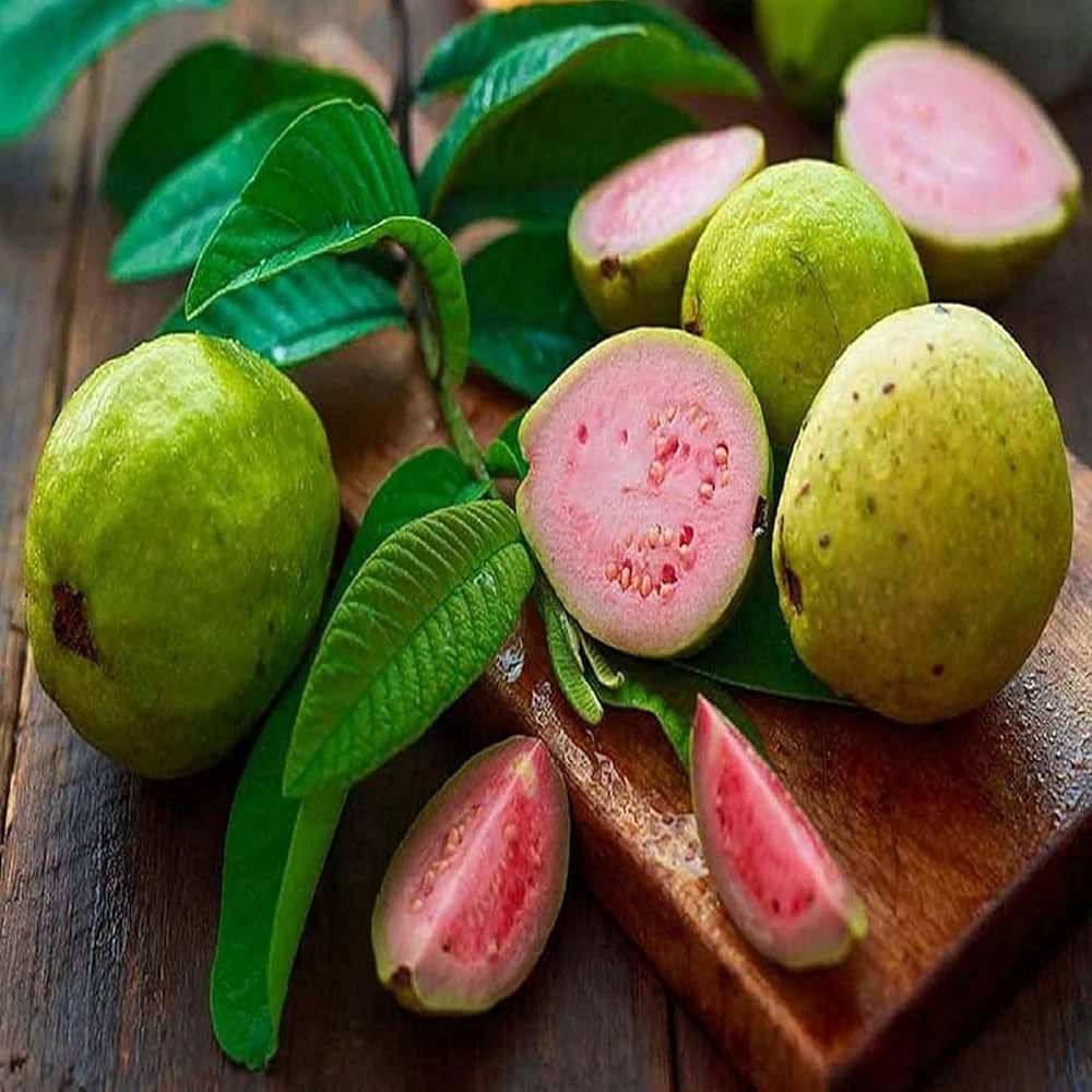 Sardar (Lalit/Redland White) Guava Seeds – High-Yield Sweet Tropical Fruit for Planting - Image 2