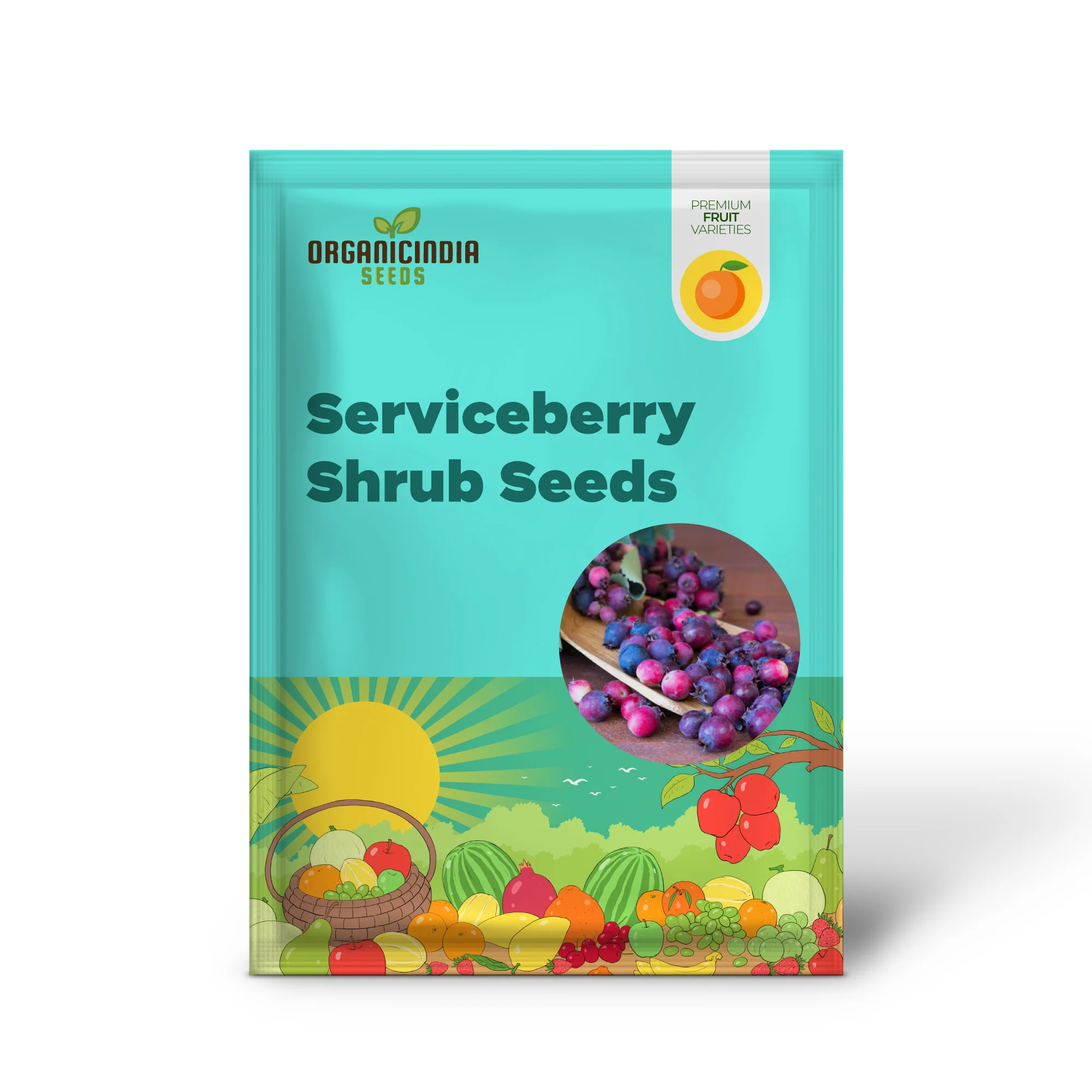 Saskatoon Serviceberry Shrub Seeds - Image 2