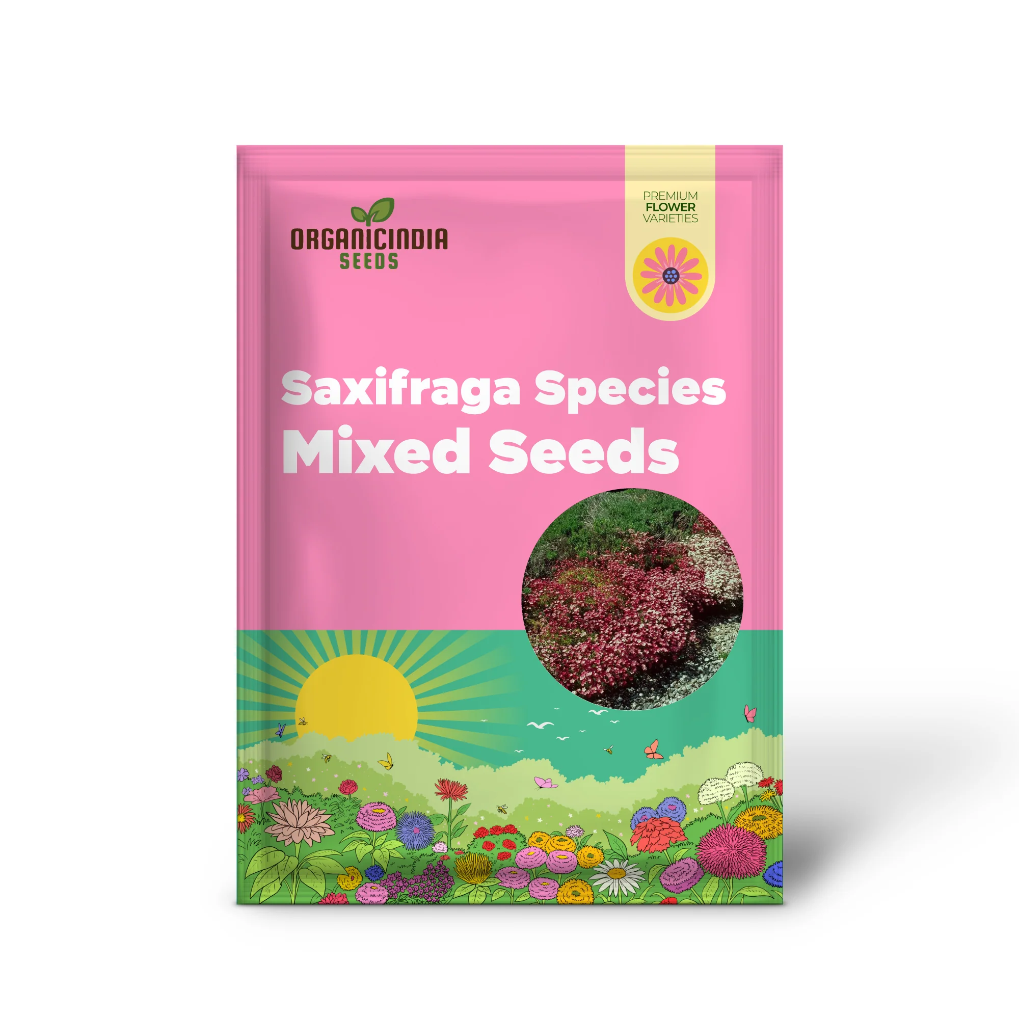 Saxifraga Species Mixed Seeds for Gardening Enthusiasts | Rare Alpine Plant Variety | Garden Seeds for Rock Gardens and Borders - Image 2