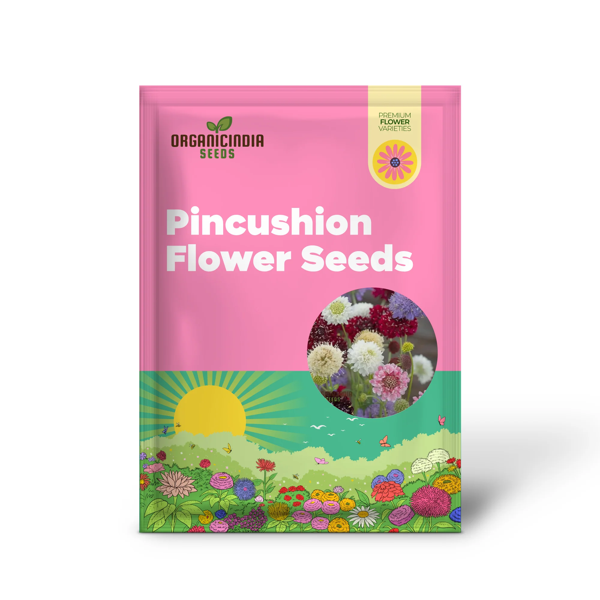 Scabiosa Comosa Pincushion Flower Seeds, Unique Blooms, Easy-to-Grow, Stunning Garden Addition - Image 2