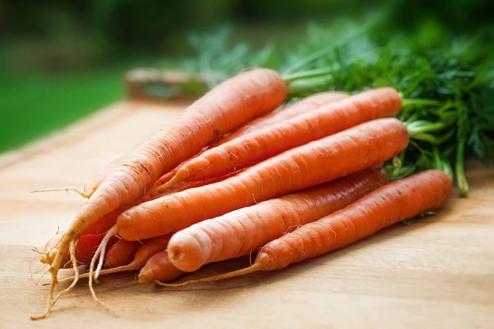 Scarlet Nantes Carrot Seeds β Heirloom, Sweet & Crisp - Grow Your Own Carrots - Image 4