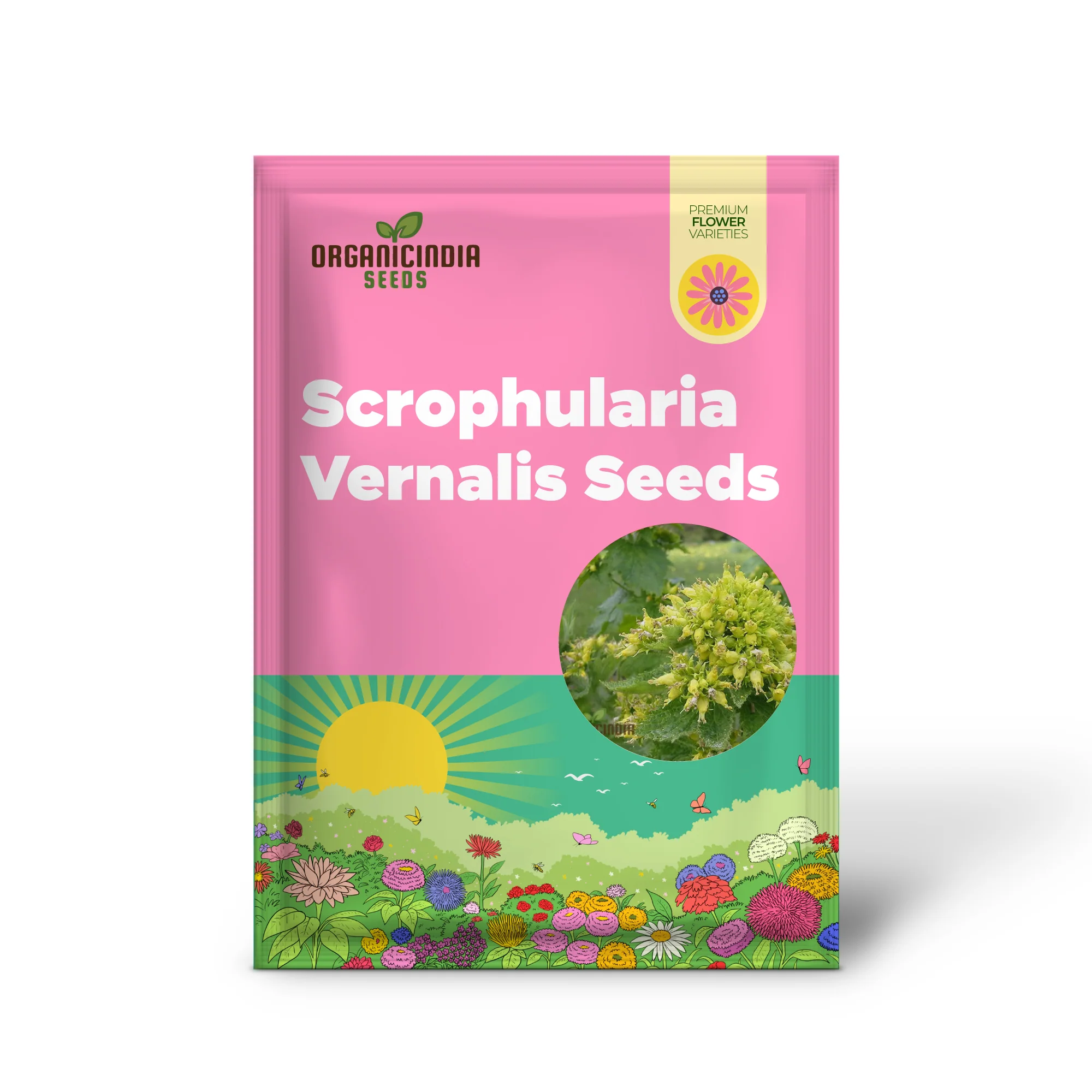 Scrophularia Vernalis Seeds - Premium Gardening Delight | Buy Organic Seeds Online - Image 2