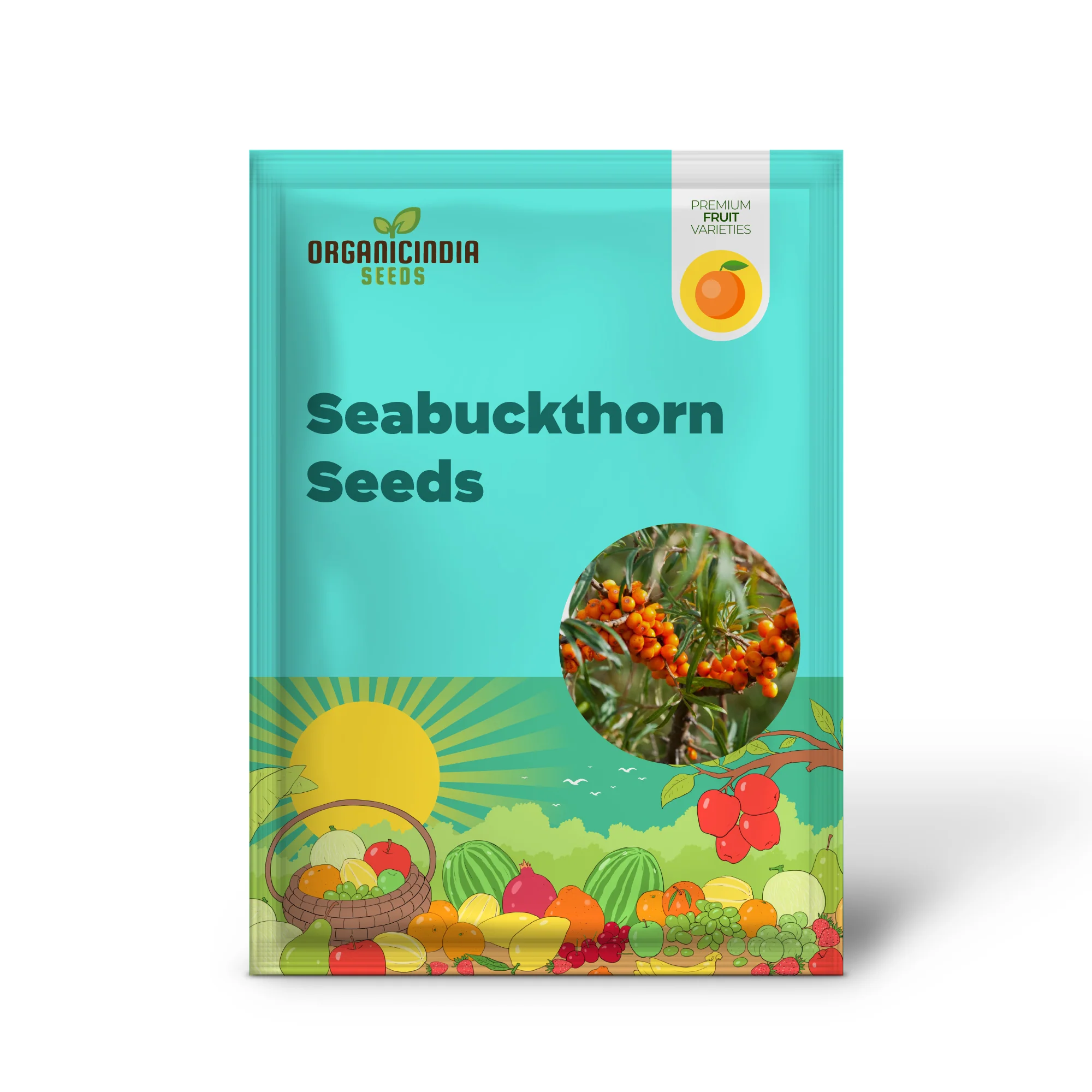 Seabuckthorn (Hippophae rhamnoides) – Seeds - Image 2