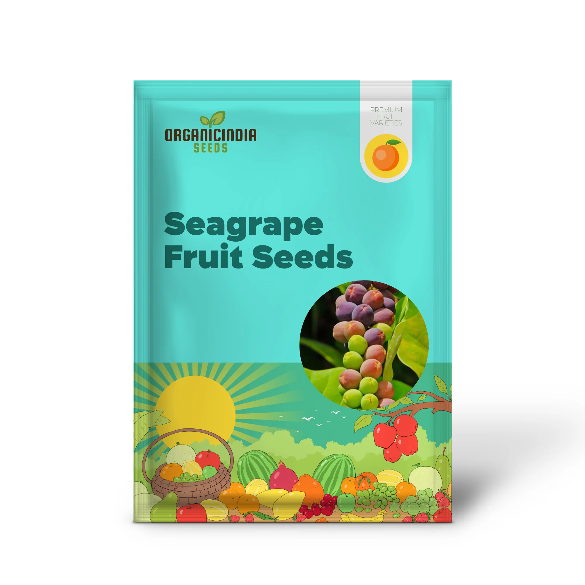 Seagrape Fruit Seeds - Grow Your Own Tropical Delight with Exotic Seagrape Trees - Image 2