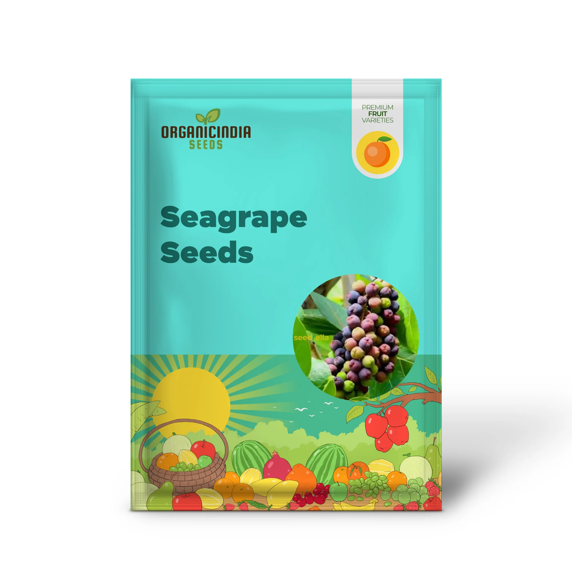 Seagrape Seeds for Easy Planting Grow Your Own Seagrape Fruit - Image 2
