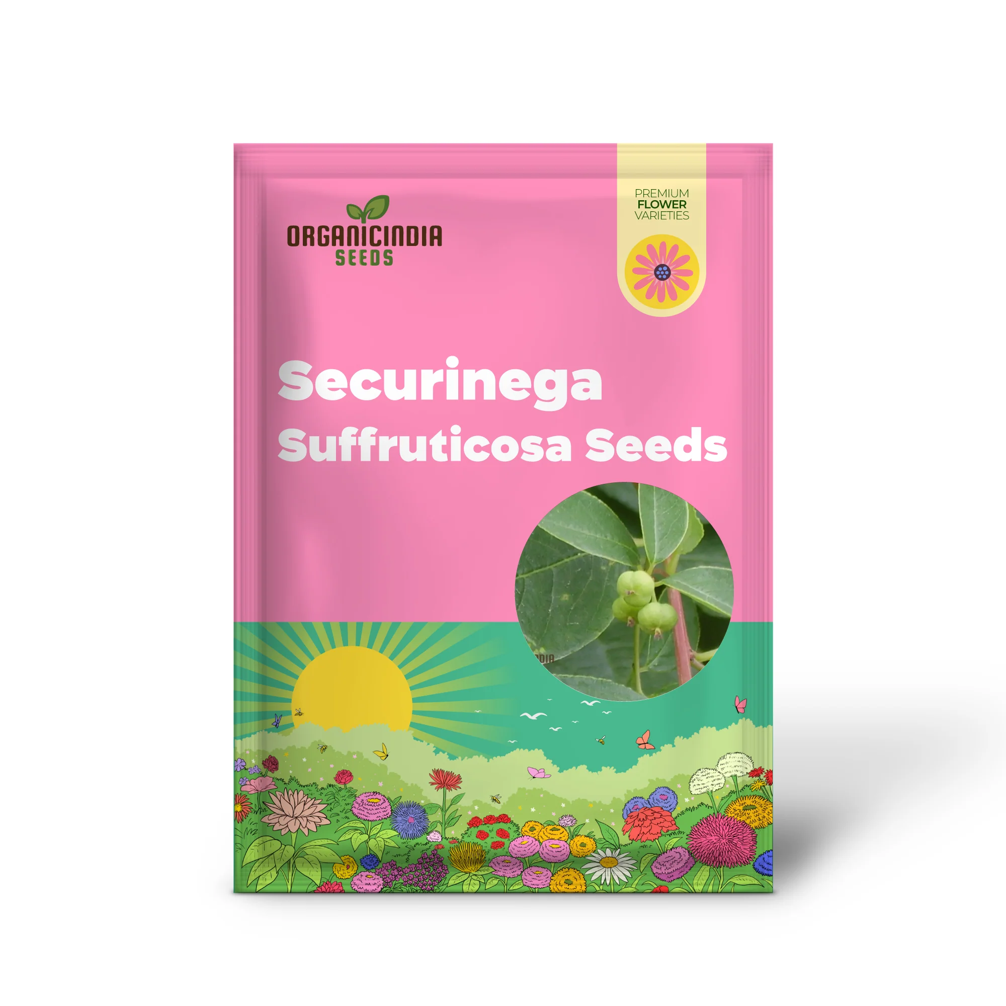 Securinega Suffruticosa Seeds for Gardening | Buy Organic Securinega Suffruticosa Seeds Online | Perfect for Home Gardens and Landscaping - Image 2